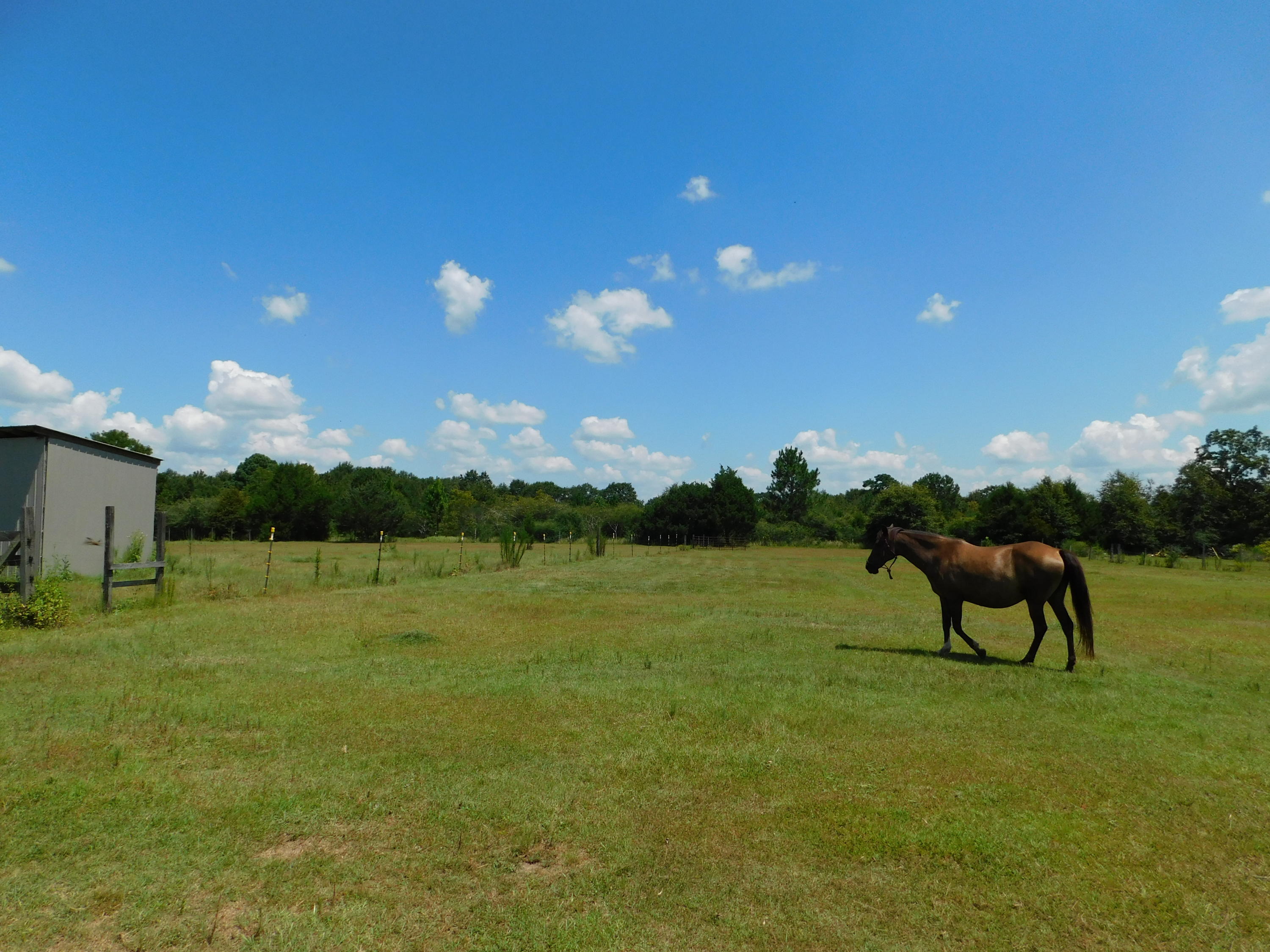 WALKER ESTATES - Residential