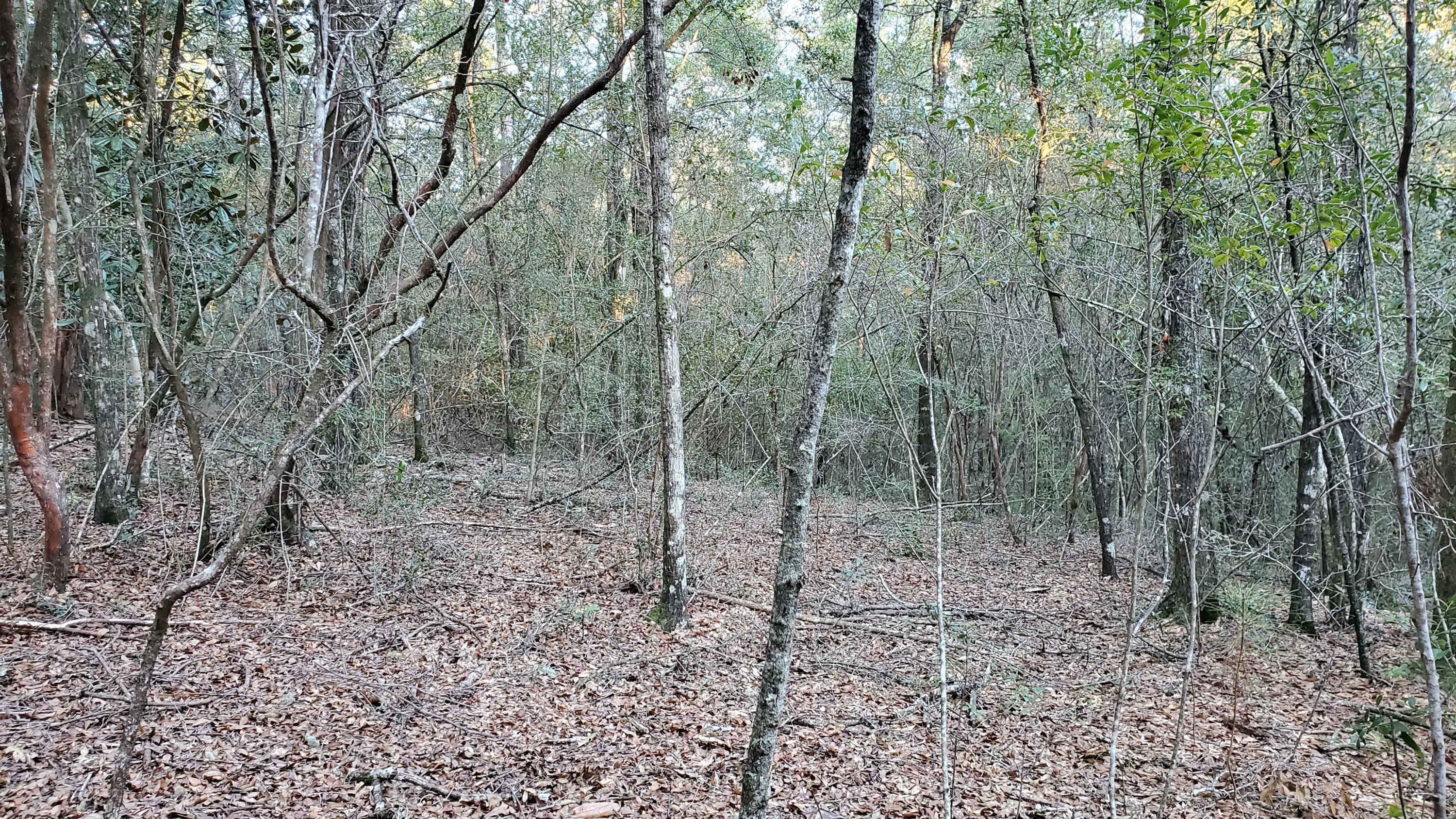 METES & BOUNDS - Land