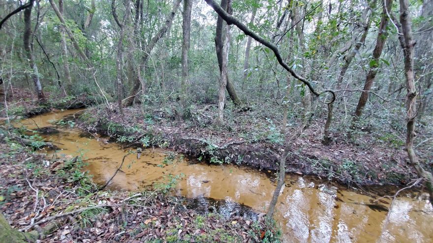 Peaceful retreat, seclusion close to town. Nearly 9 acres.  This property may actually HAVE IT ALL - the sound of the rippling sandy bottom creek, too many deer trails to count, canopy of gorgeous oaks, wooded but not too thick to explore and have your own family adventures & last, but certainly not least, the previous homesite with septic, well & power pole is in a gorgeous spot to watch the sun set, every evening!  This property is sold as-is and the condition of the septic system and well are not known.  The current owner did not live on this property, the family only enjoyed it as a family getaway and to hunt on.  Gorgeous property and quiet, peaceful location. County road maintenance stops about 1 1/2 miles down Kervin Rd.