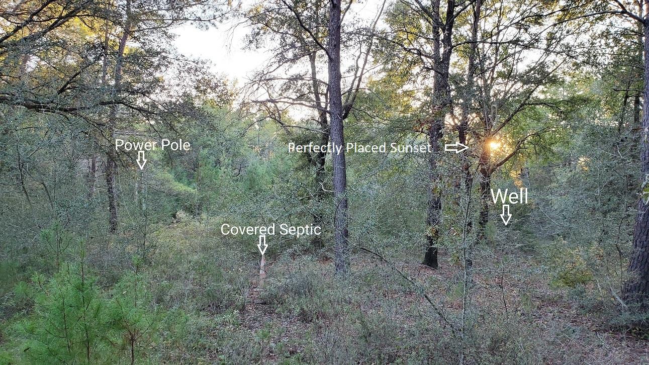 METES & BOUNDS - Land