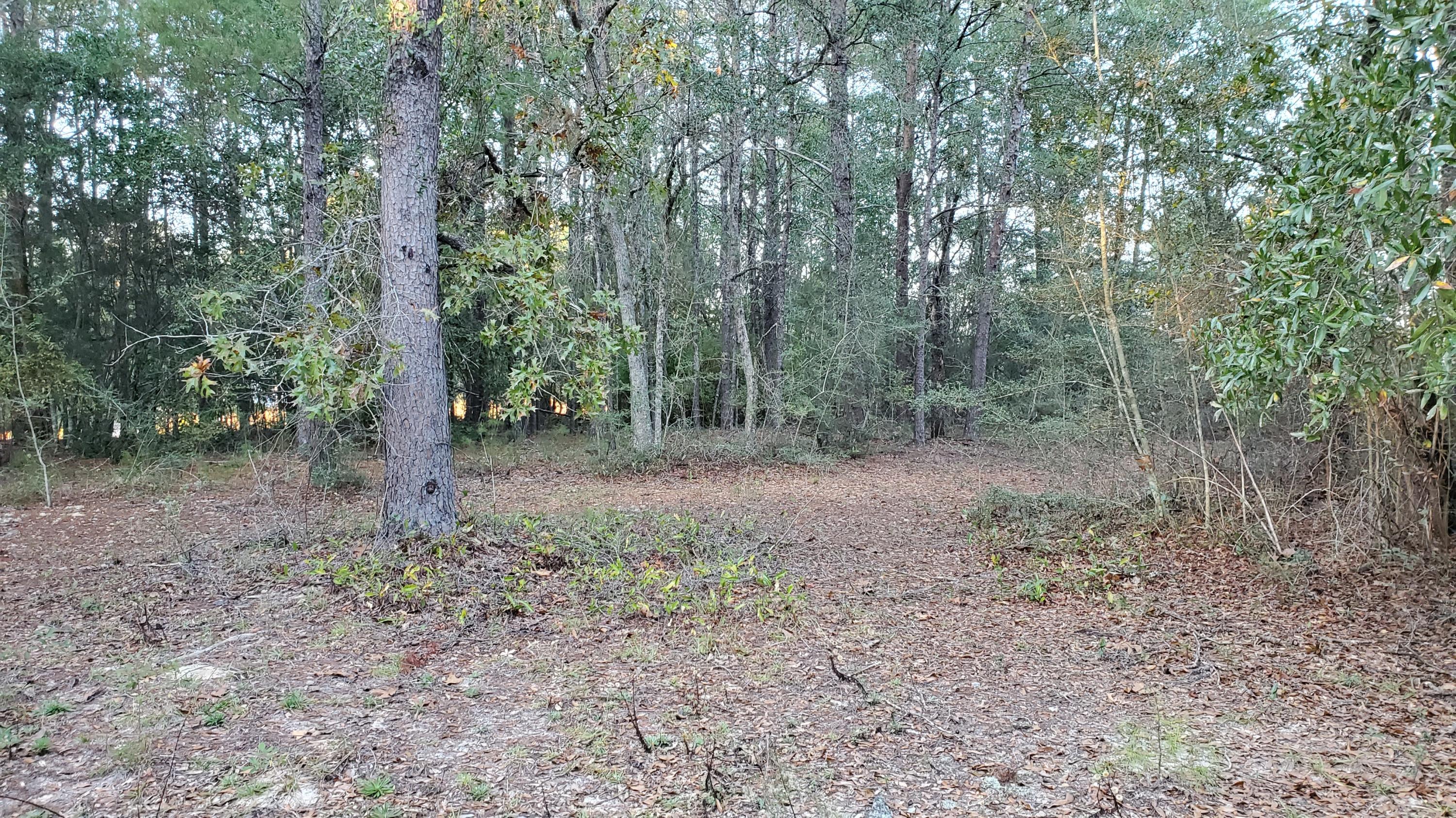 METES & BOUNDS - Land