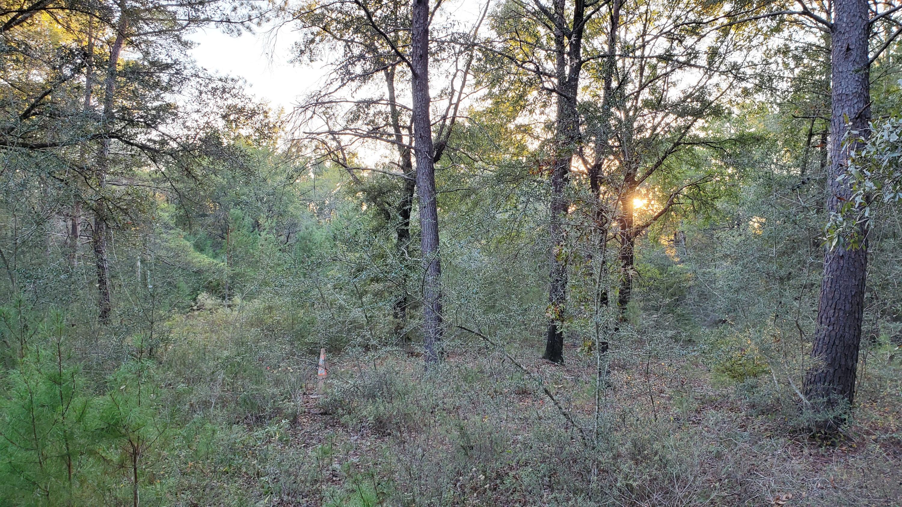 METES & BOUNDS - Land