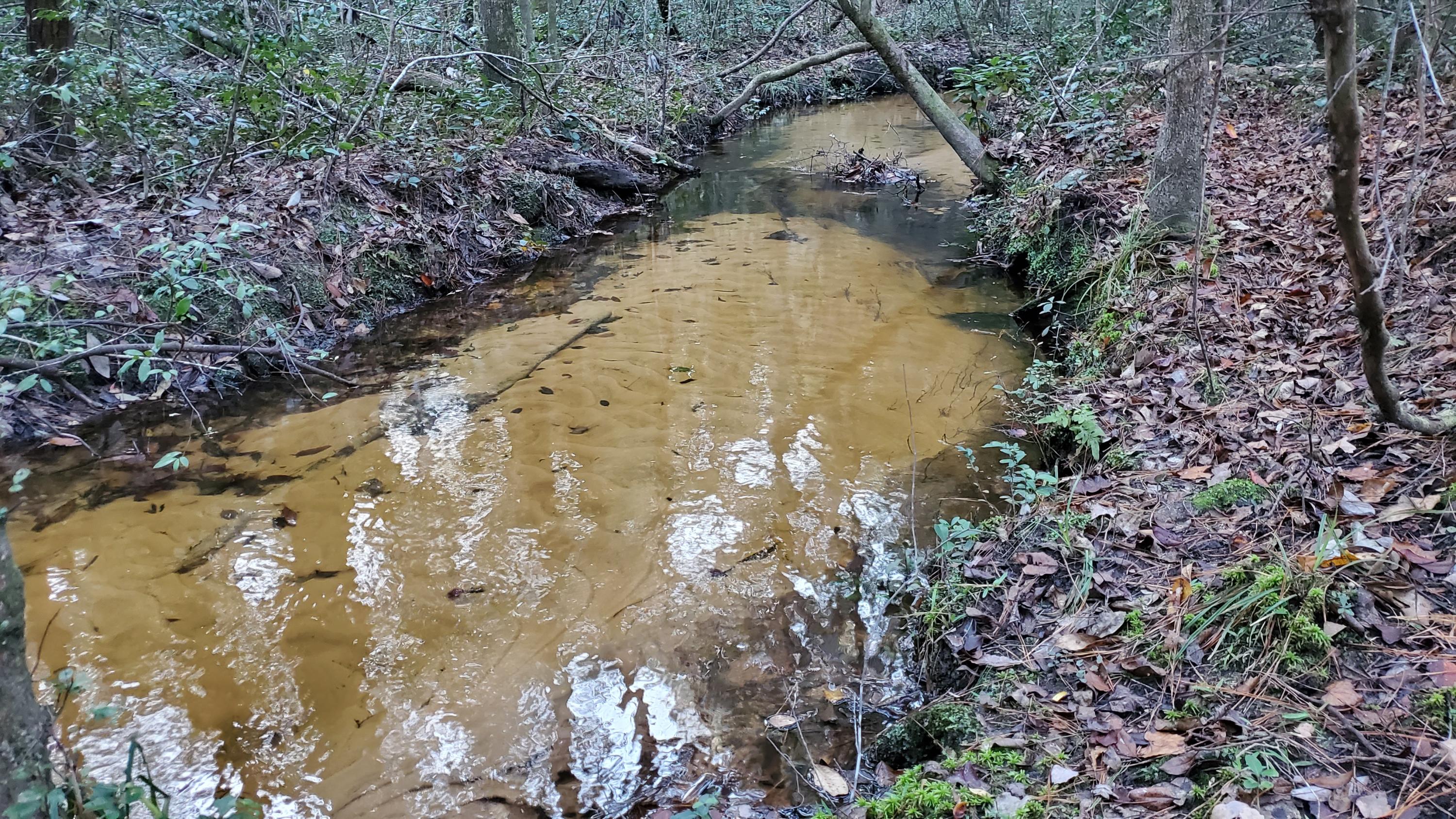 METES & BOUNDS - Land