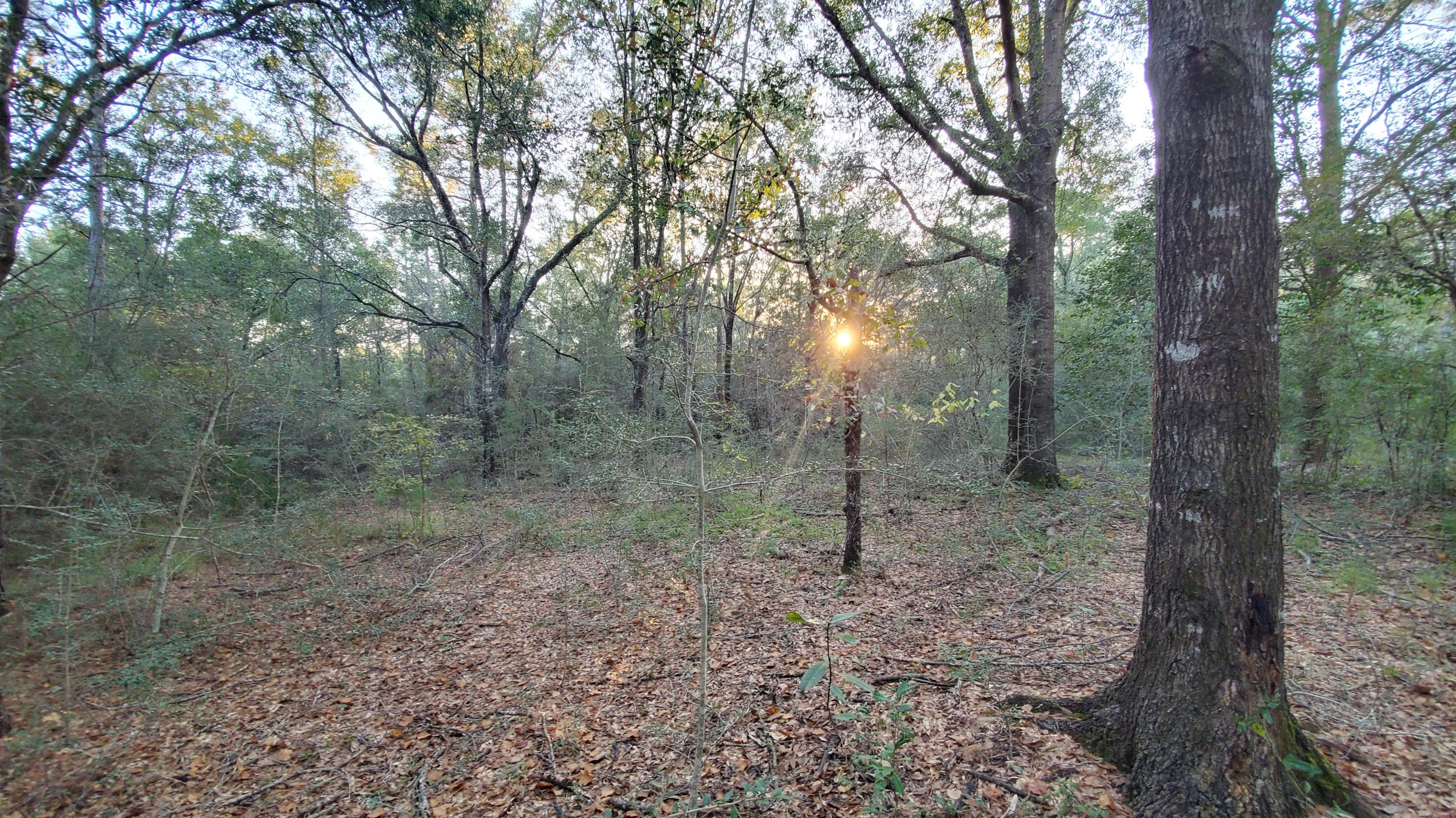 METES & BOUNDS - Land