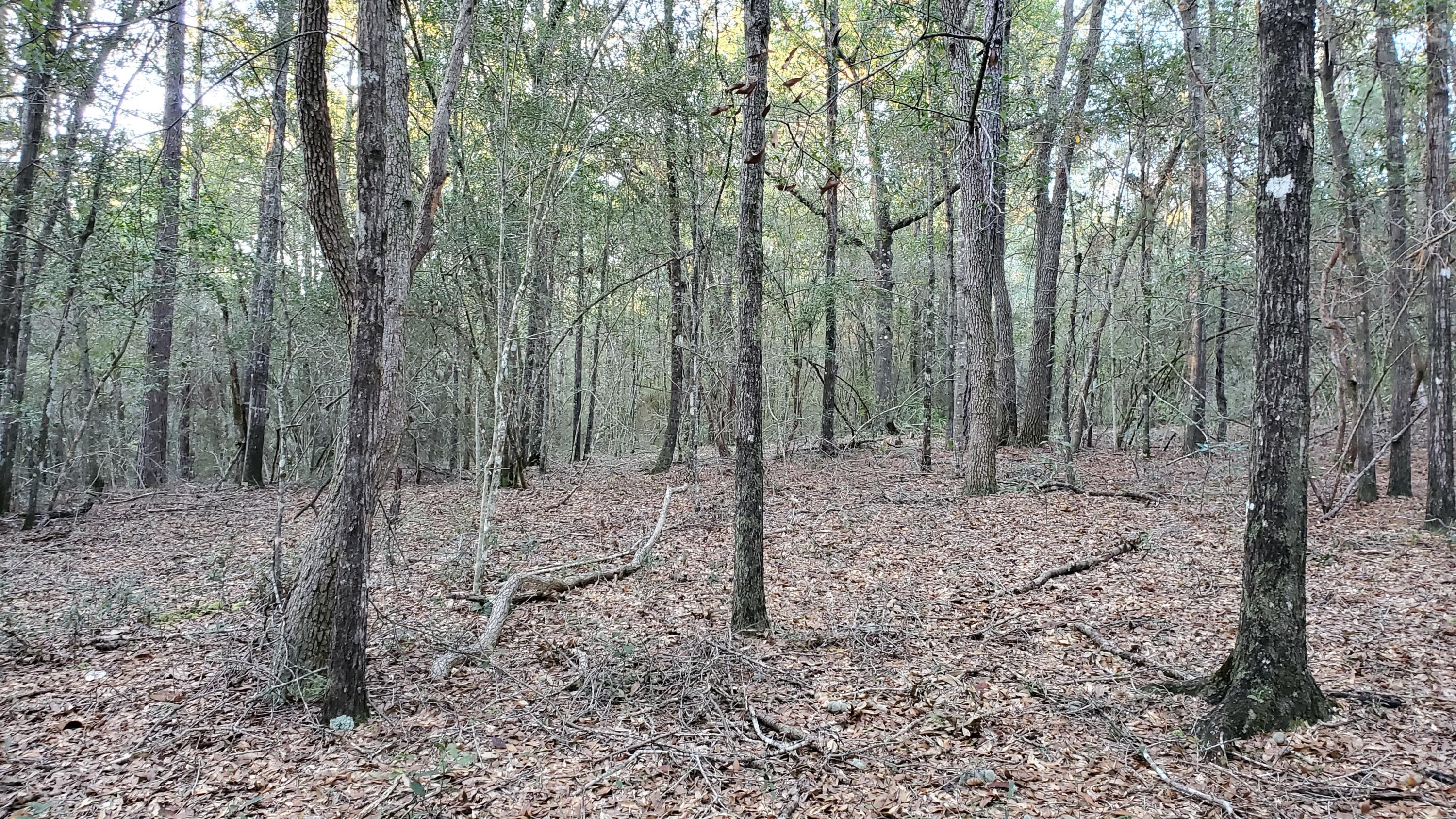 METES & BOUNDS - Land