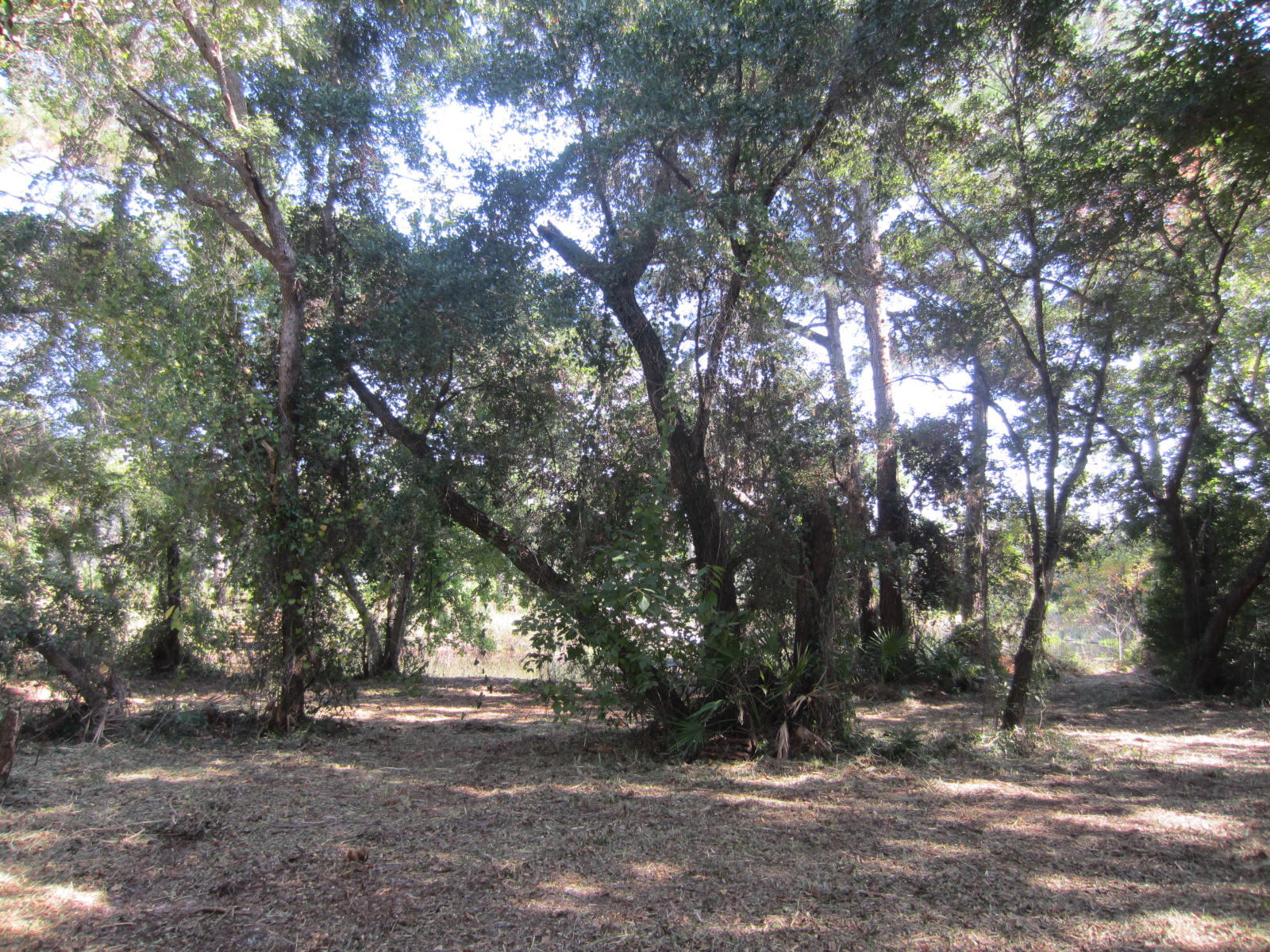 GRAYTON BEACH - Land