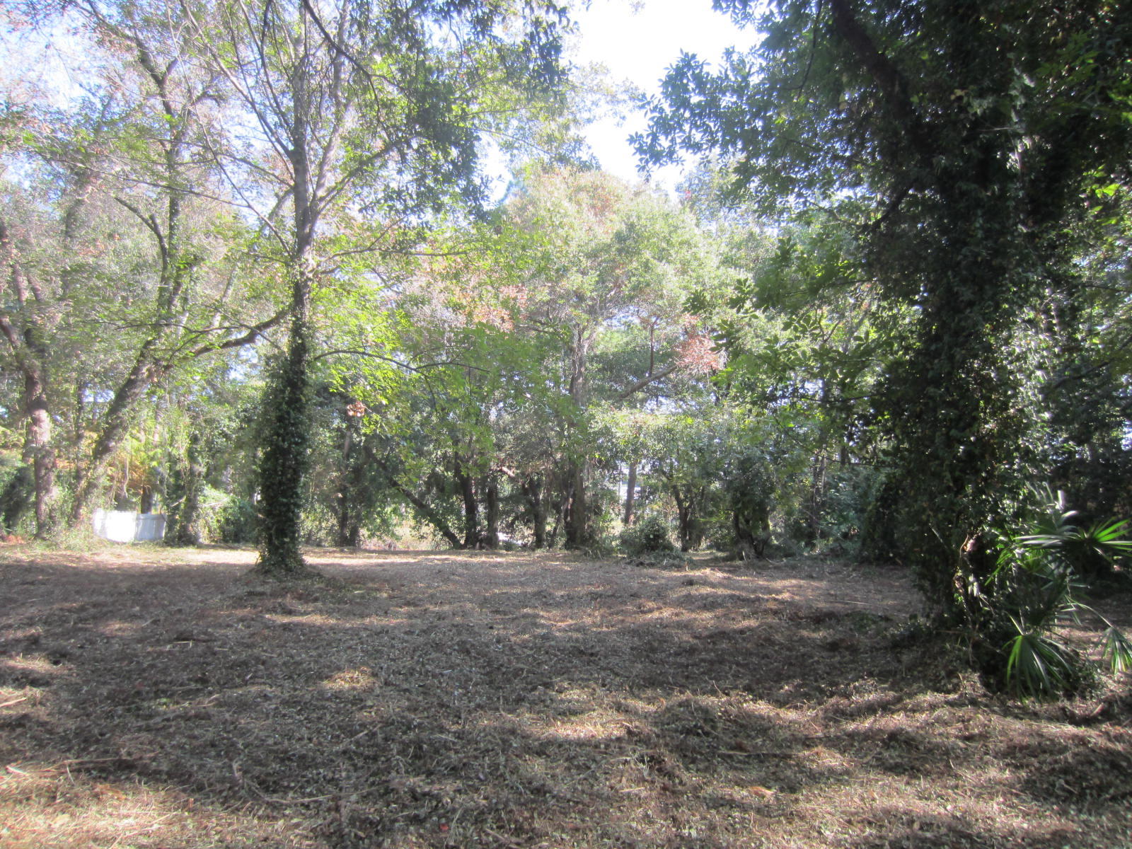 GRAYTON BEACH - Land