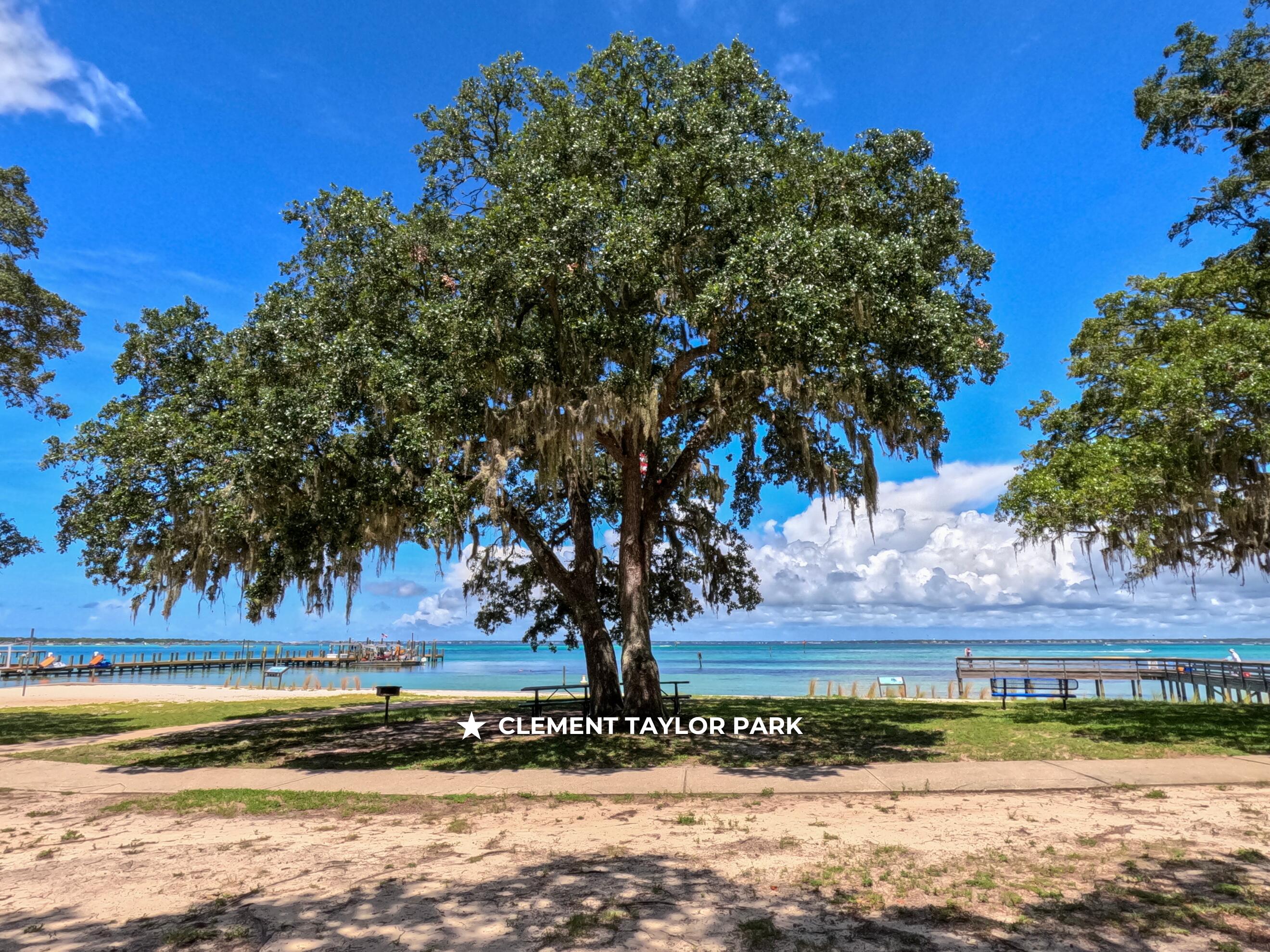 The Oaks at Old Town - Residential