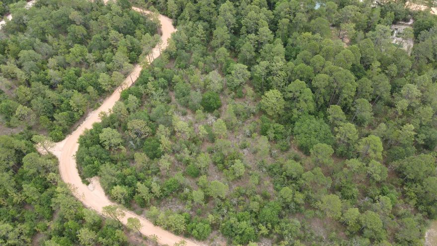 Nice 1+ acre buildable lot in fast growing Mossy Head. Great location convenient to DeFuniak Springs, Crestview, Eglin Air Force Base and the beaches of South Walton.