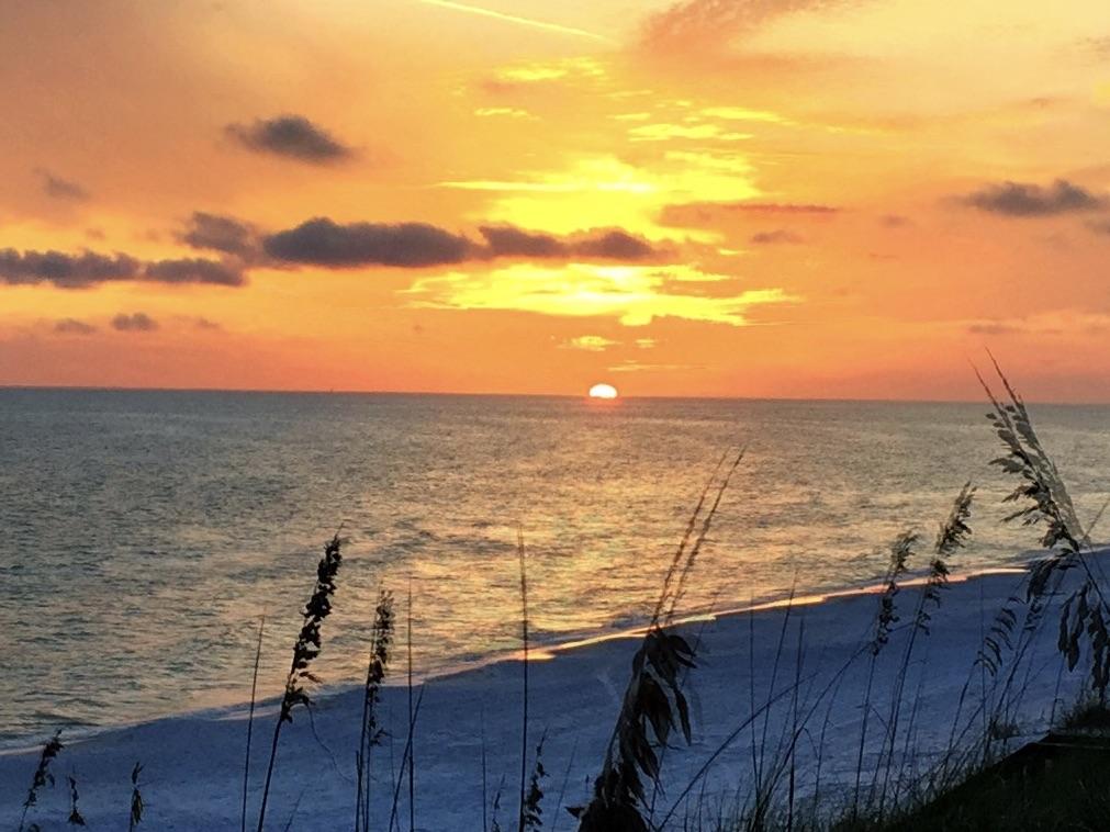 COURTYARDS OF SANTA ROSA BEACH - Residential