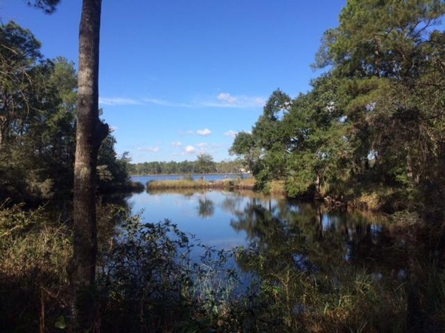 Beautiful lot in booming Freeport! Possible bay views when building! Large, wooded homesite with LaGrange Bayou across the street which connects to Choctawhatchee Bay. Enjoy kayaking, paddle board, nature trails and picnic area in this quiet peaceful setting. Near new Publix. Freeport is just minutes away and the Beaches of South Walton are quickly accessible from nearby Hwy 331 bridge.