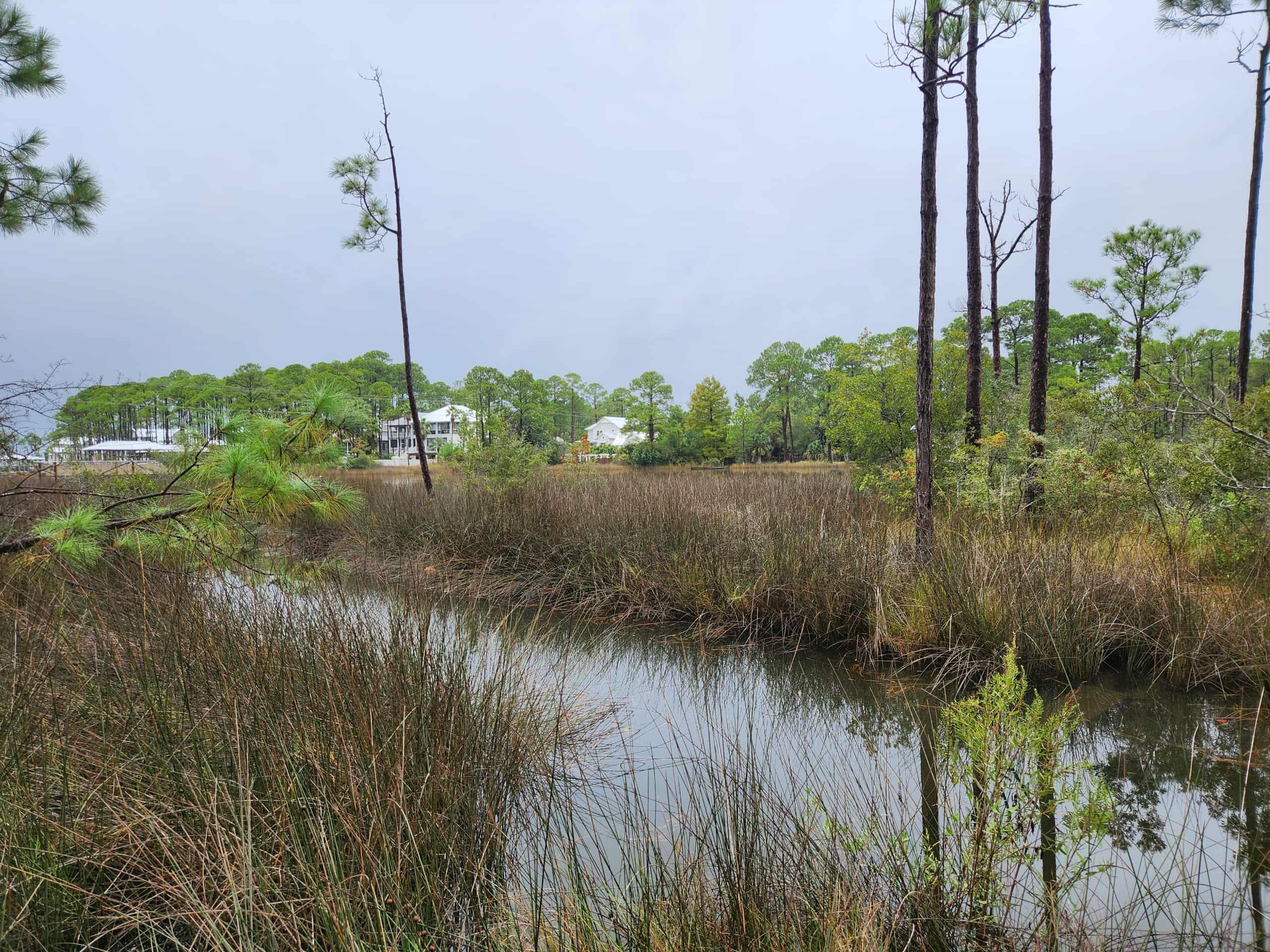 MILLS BAYOU - Land