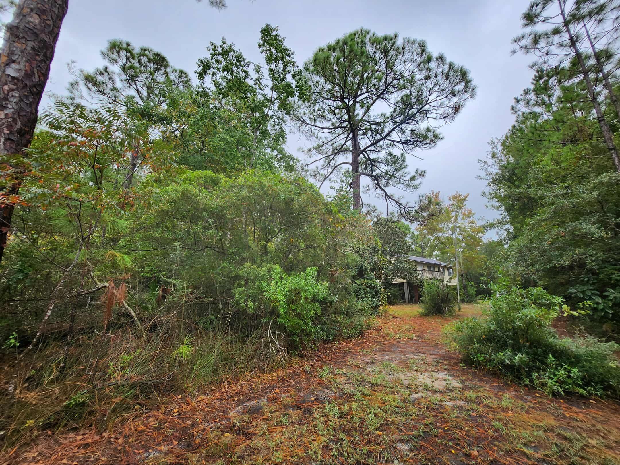 MILLS BAYOU - Land