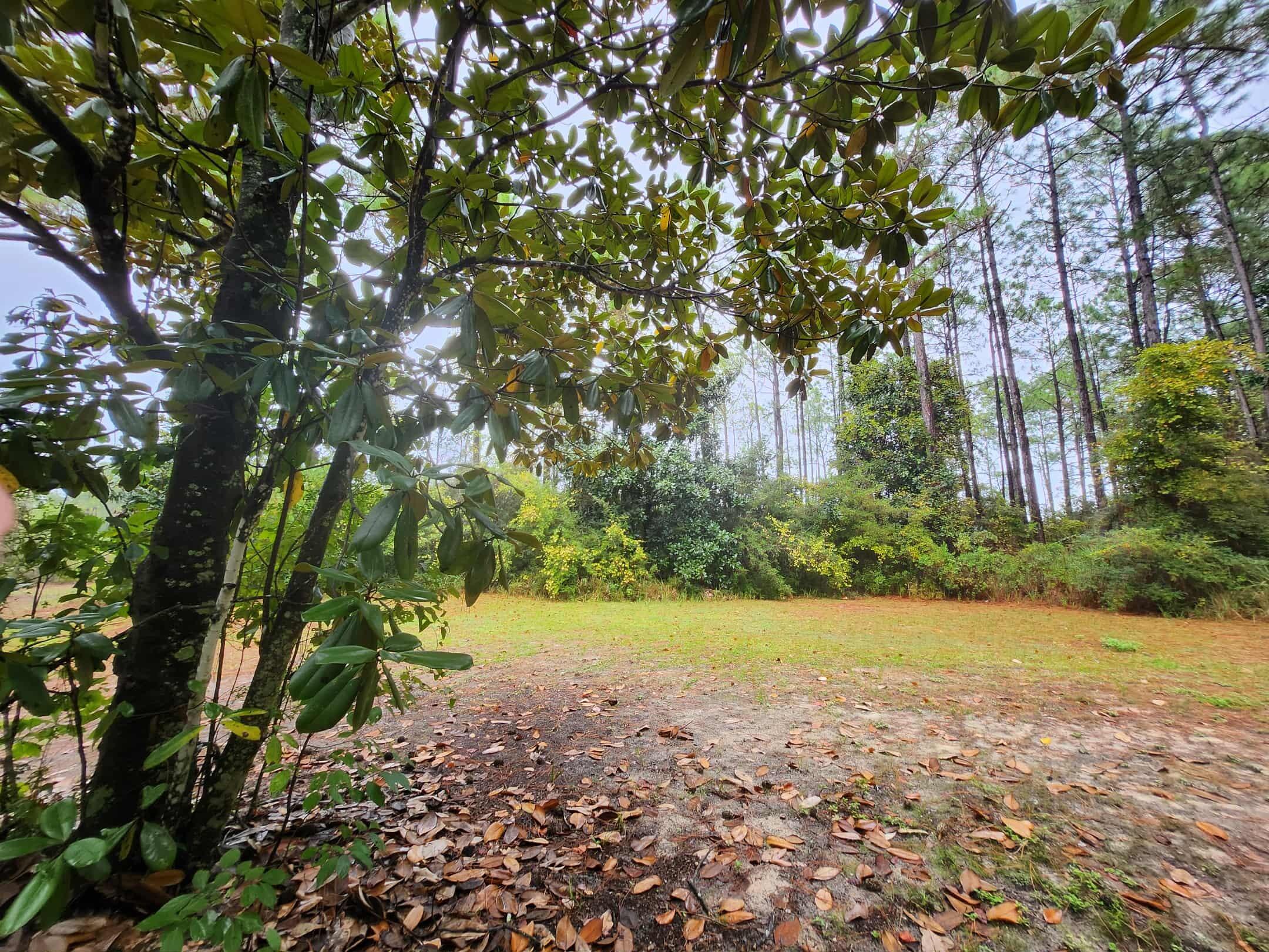 MILLS BAYOU - Land