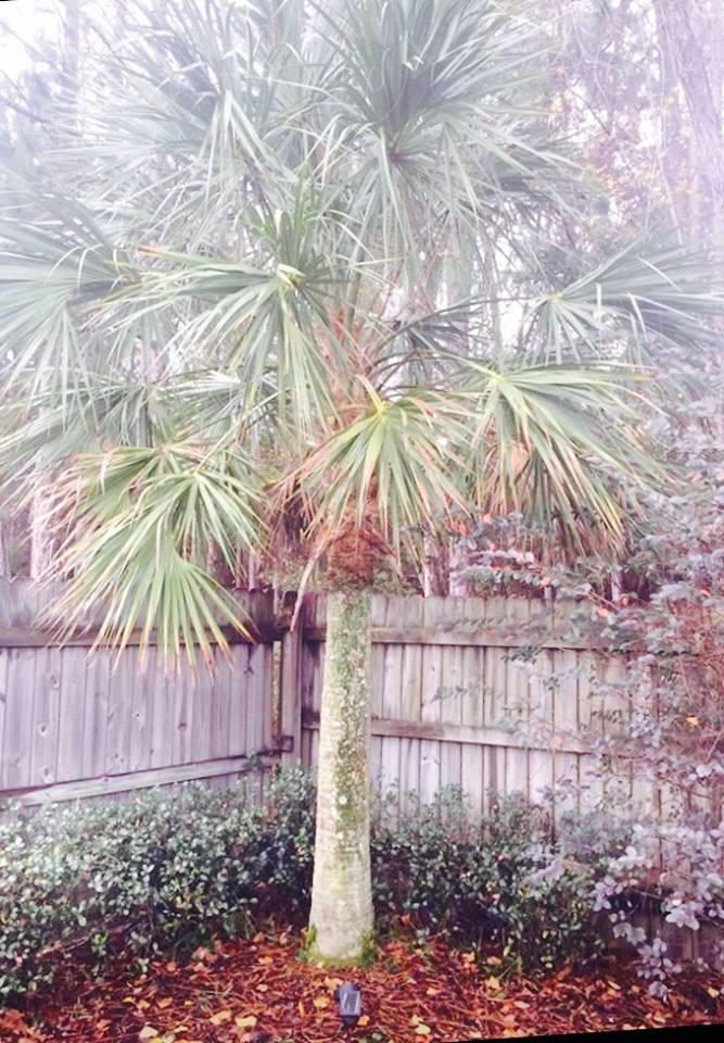 OVERBROOK 2ND ADDN - Residential