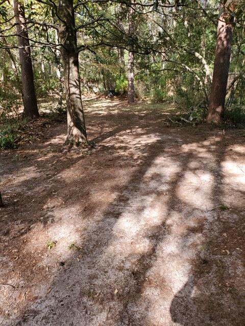 Rocky Shore - Residential