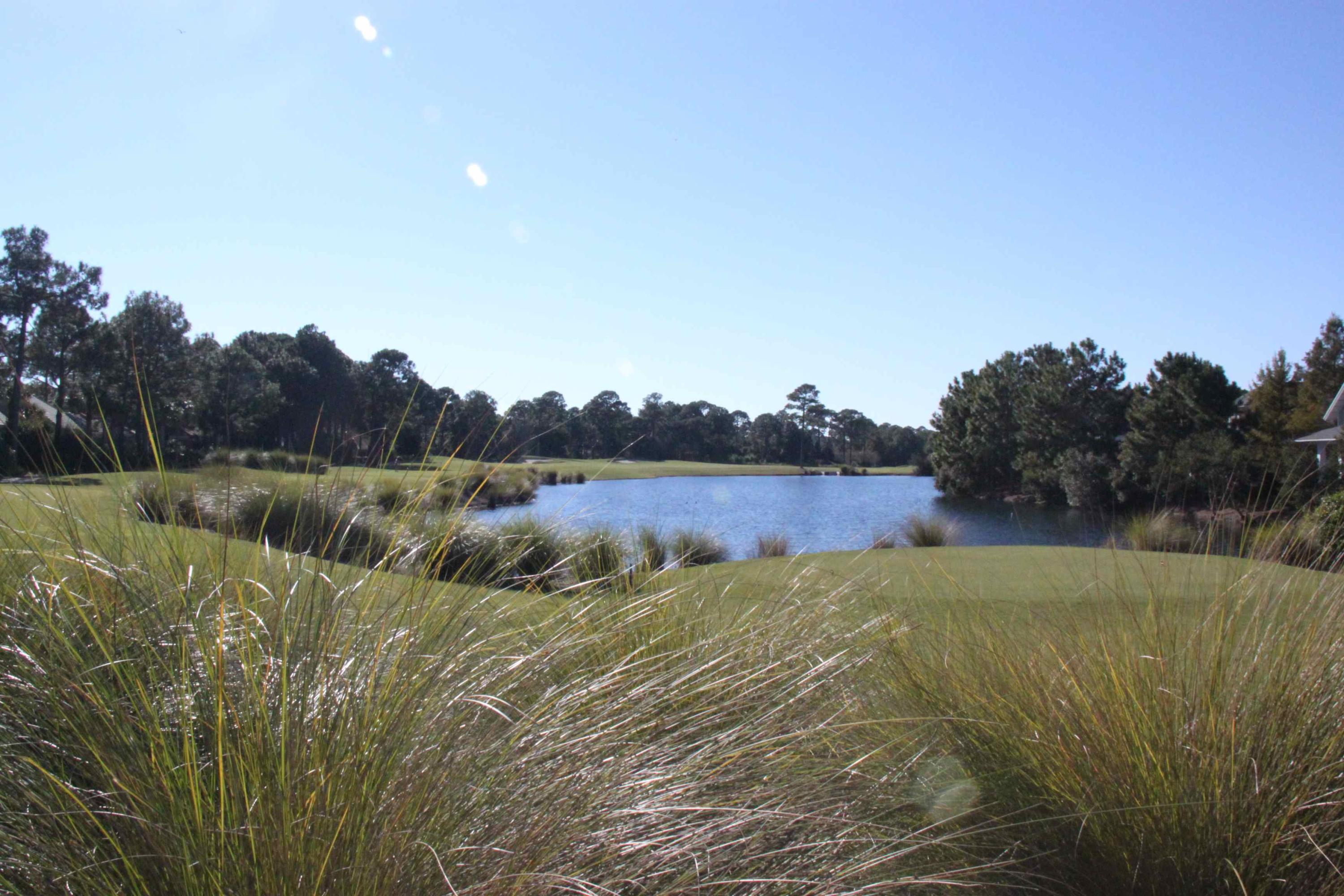 Laurel Grove - Residential