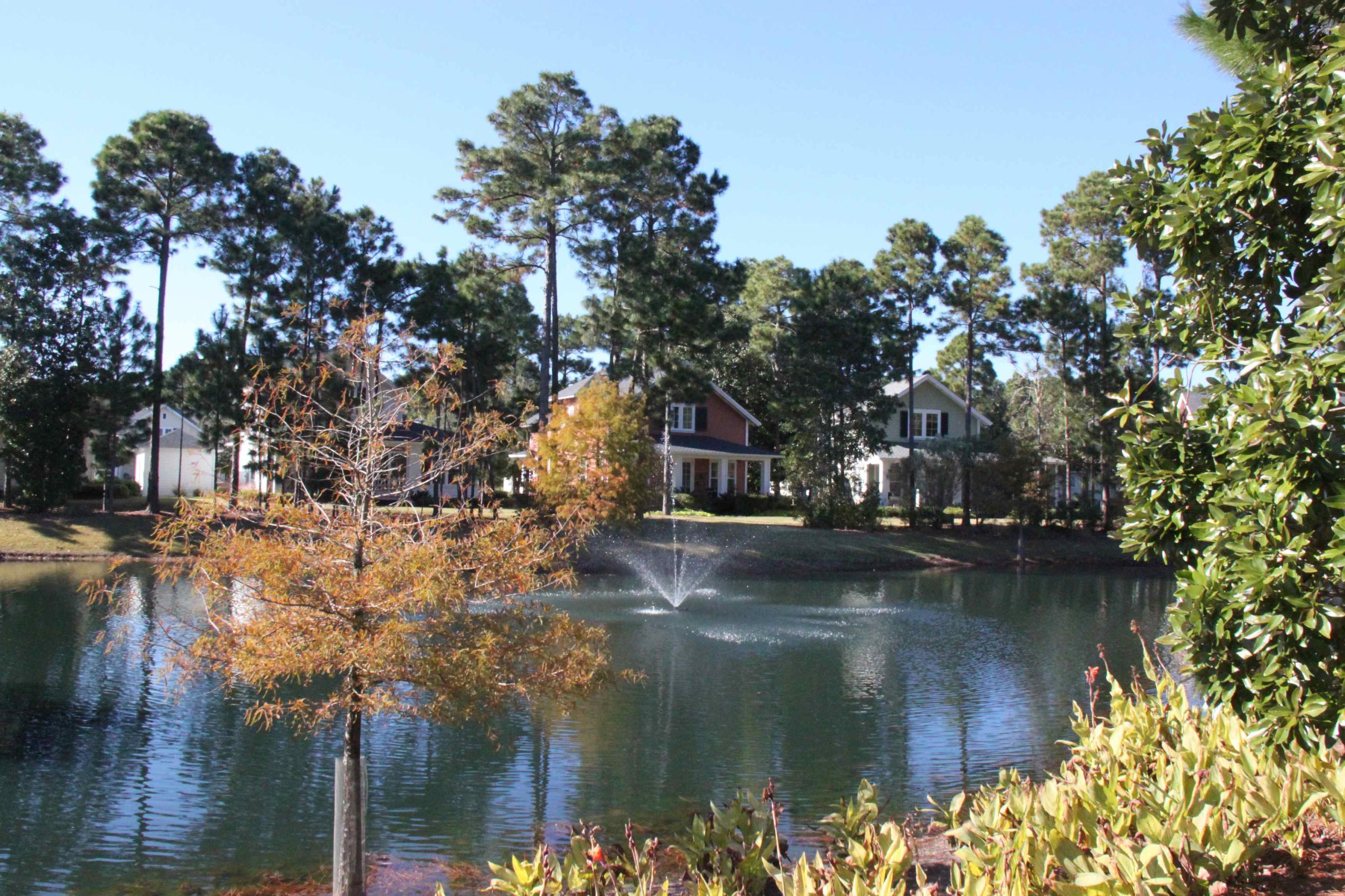 Laurel Grove - Residential