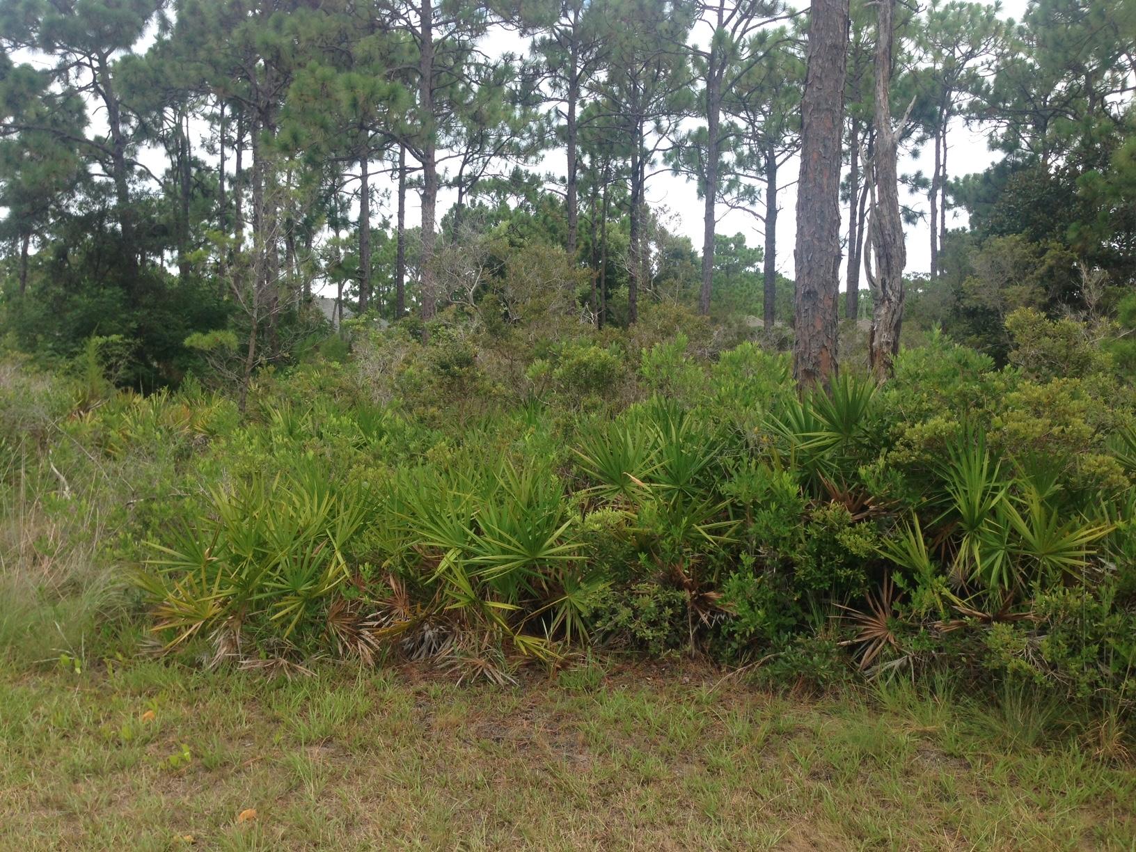 SHELTER COVE ESTATES - Land