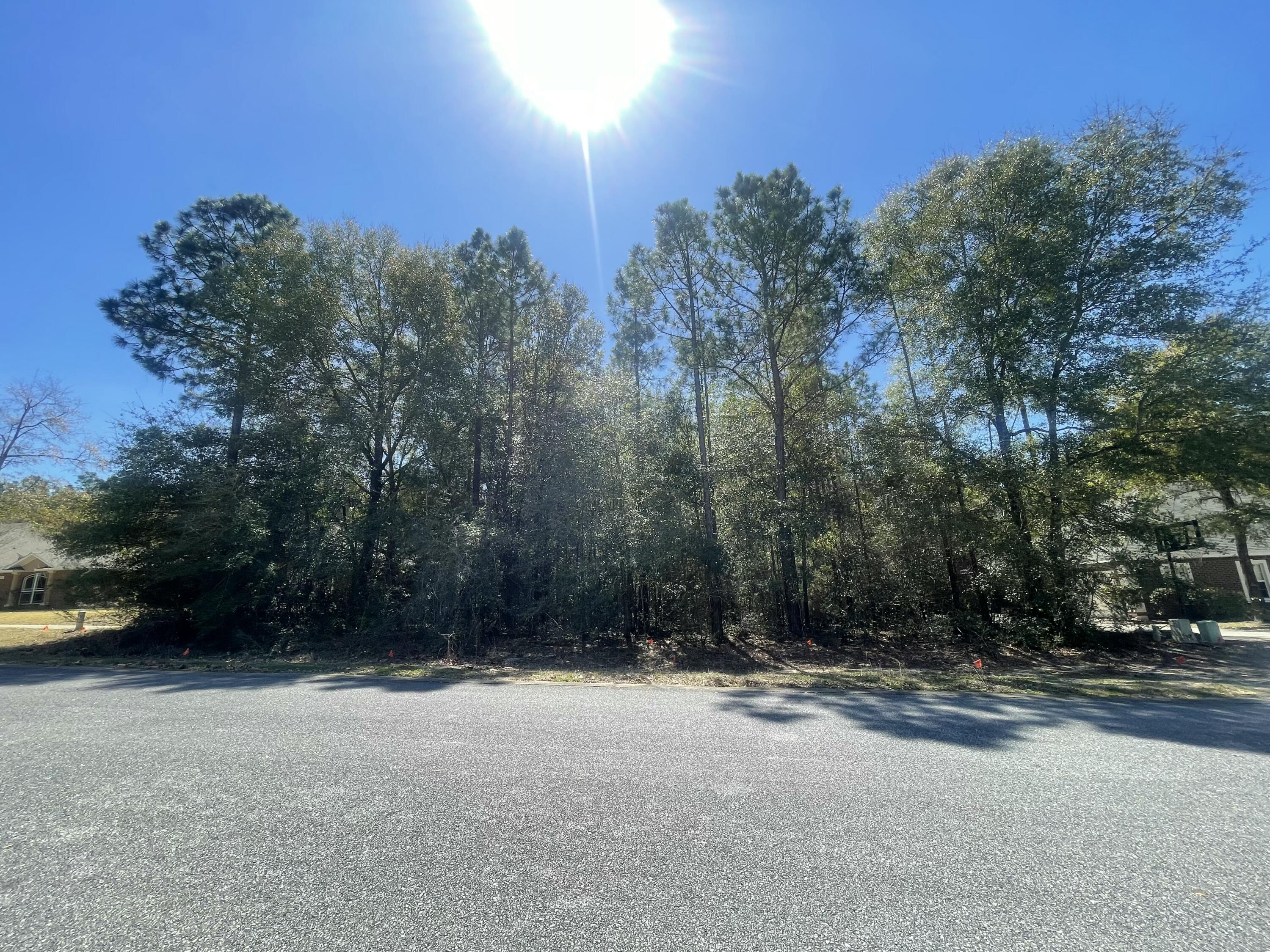 Silverwoods Estates Lot 2 Block D - Land