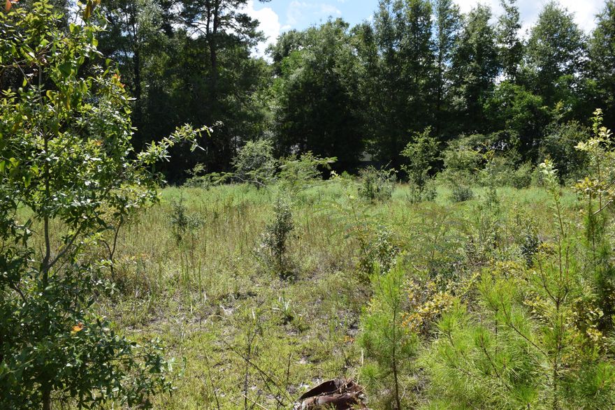 Back on market due to buyer financing failure. Zoned Business Retail with 100' on Highway 20 East, this property offers great visibility and easy access to the public. This is one of 7 lots on Ansley Drive so there could be an attractive professional office/business/retail complex here. Need a place for your medical, legal, or financial professional office? Here it is! Businesses which assist military and civilian travelers could be very successful here as well. After hours meals for Hampton Inn guests? Across from rocky Bayou and Fred Gannon State Park so maybe a business renting/and or servicing kayaks, paddle boards, bikes??? Selling picnic lunches?WE'VE GOT THE LAND SO BRING YOUR BUSINESS! (See survey in the documents section)