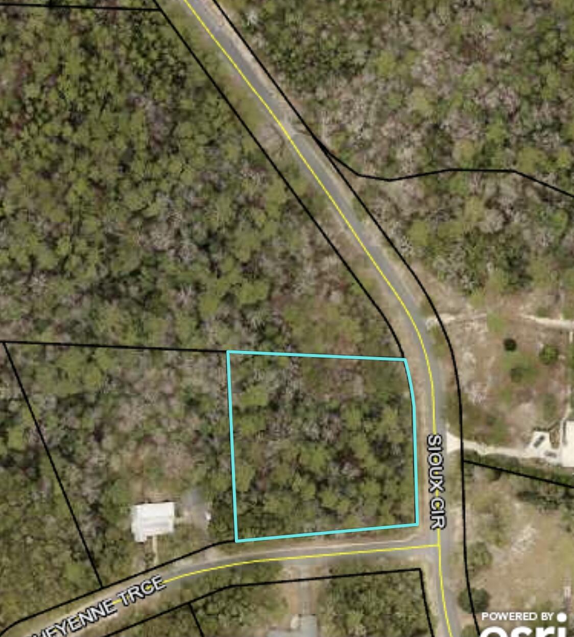 One of the last few lots left in this desirable community. This lot is situated in the corner of Sioux Circle and Cheyenne Trace. There is a power pole on the property but no septic. The lot has a creek in the back. This would be the perfect building spot for your new home.