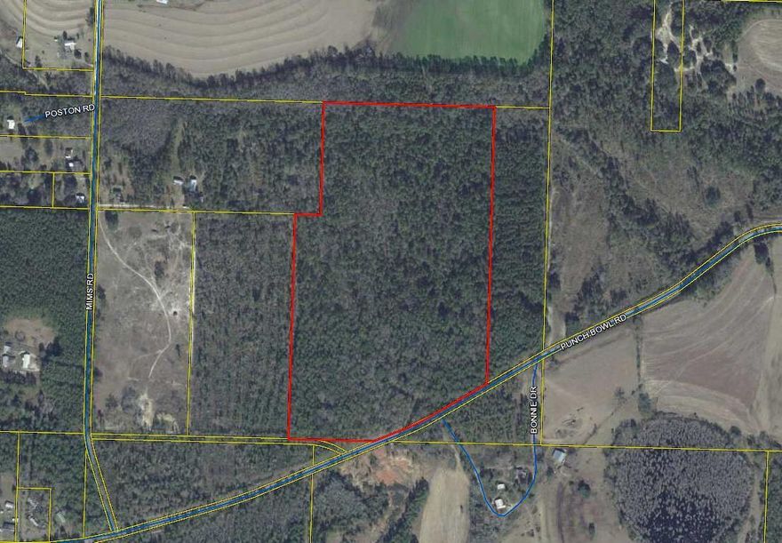 This beautiful track of land has a mixture of  hardwood and pine timber on the property. Fronts on a paved road. A great track of land to build a dream home on located in the north end of Walton County between Darlington and Gaskin communities appx. 18- 20 miles north of DeFuniak Springs. Possible small spring feeds seasonal creek. Was once lived on and still has a portable garage, mobile home, septic  tank, power pole and well.  No value was given since no one has lived there for many years and no guarantees implied that the utilities work. Seller does have an older survey on the property please look under documents in the header on the MLS Sheet above for a copy.   All dimensions subject to and up-to-date survey.