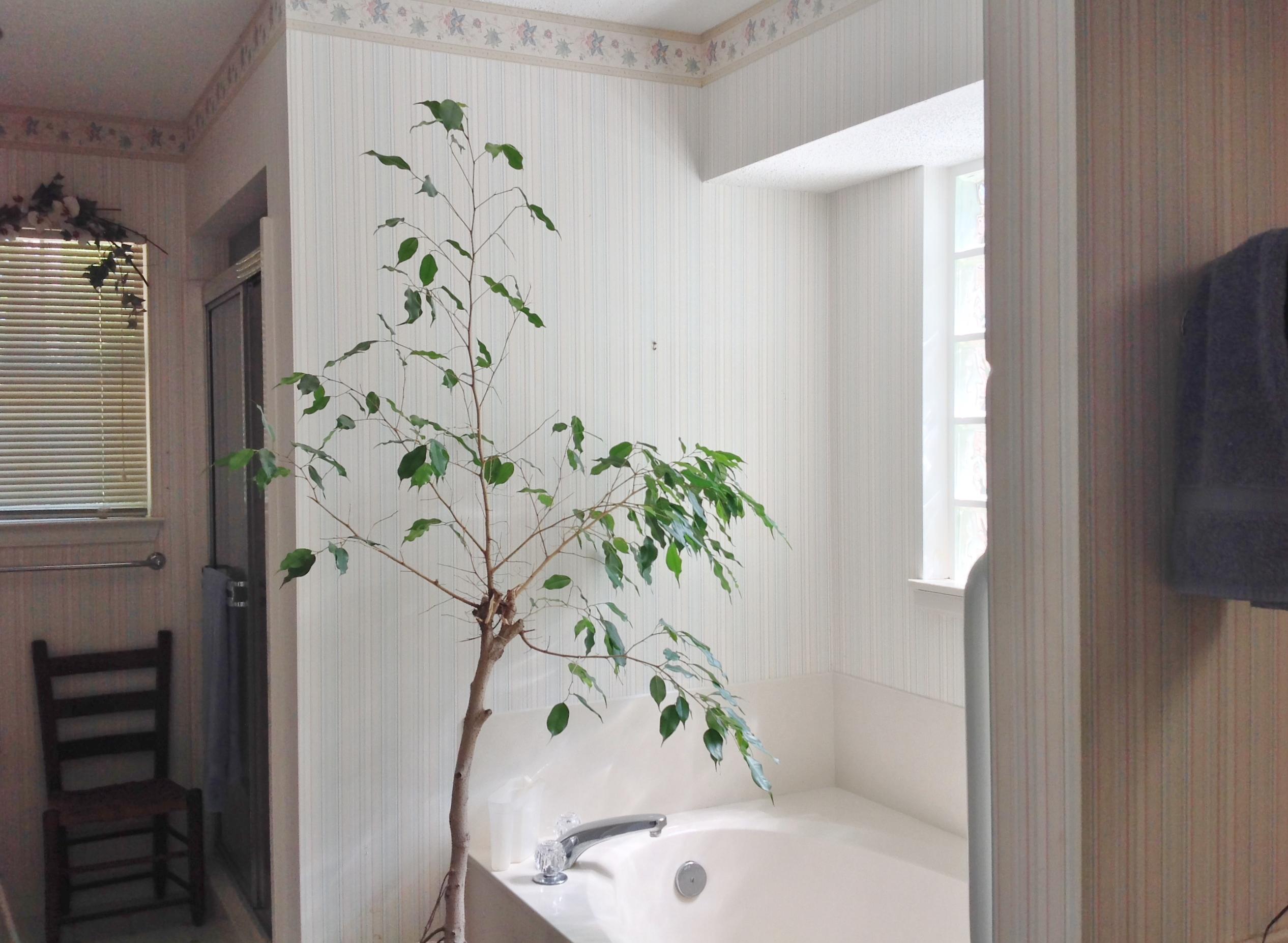 ROCKY BAYOU COUNTRY CLUB ESTATES 7 - Residential