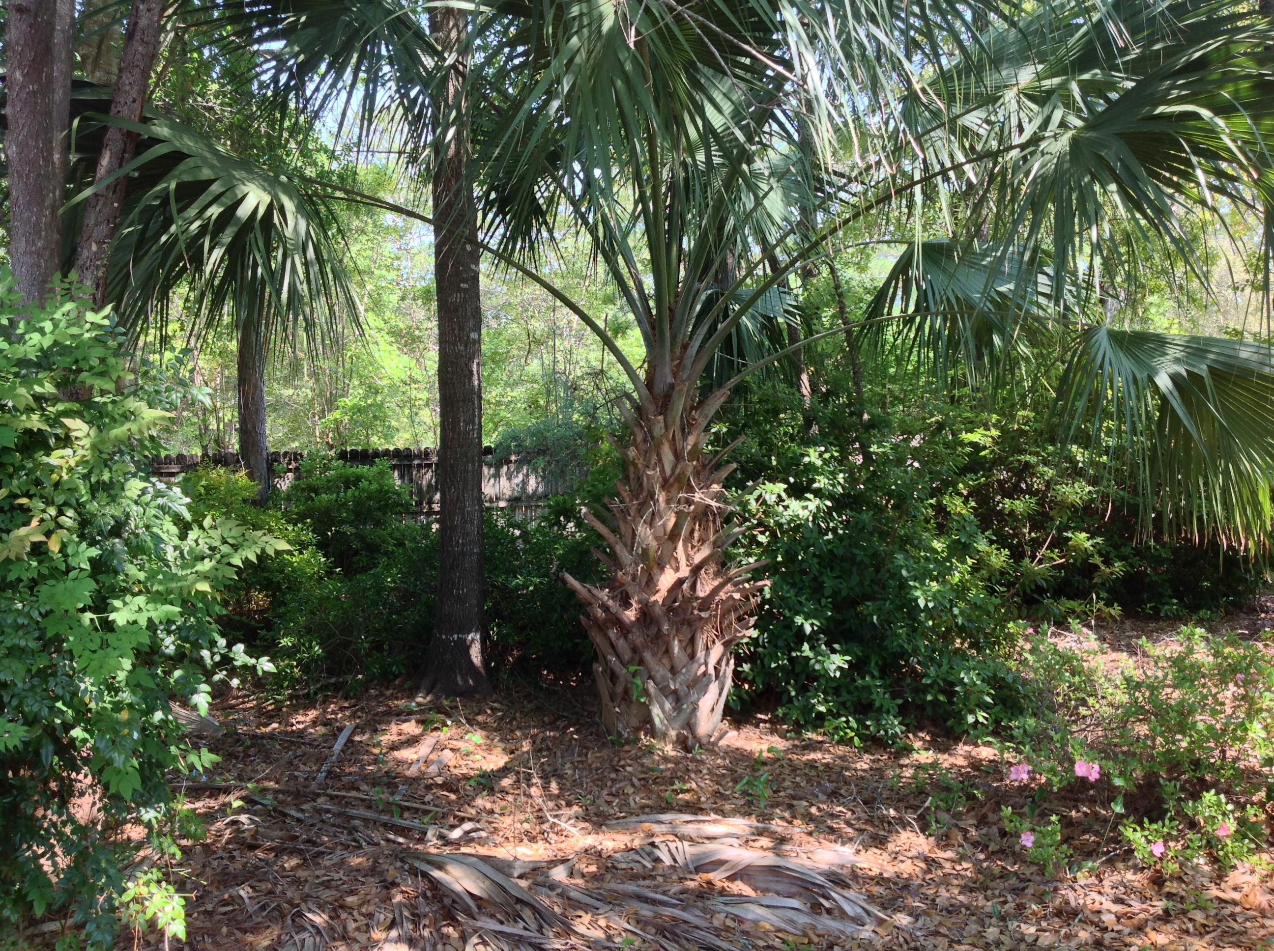 ROCKY BAYOU COUNTRY CLUB ESTATES 7 - Residential