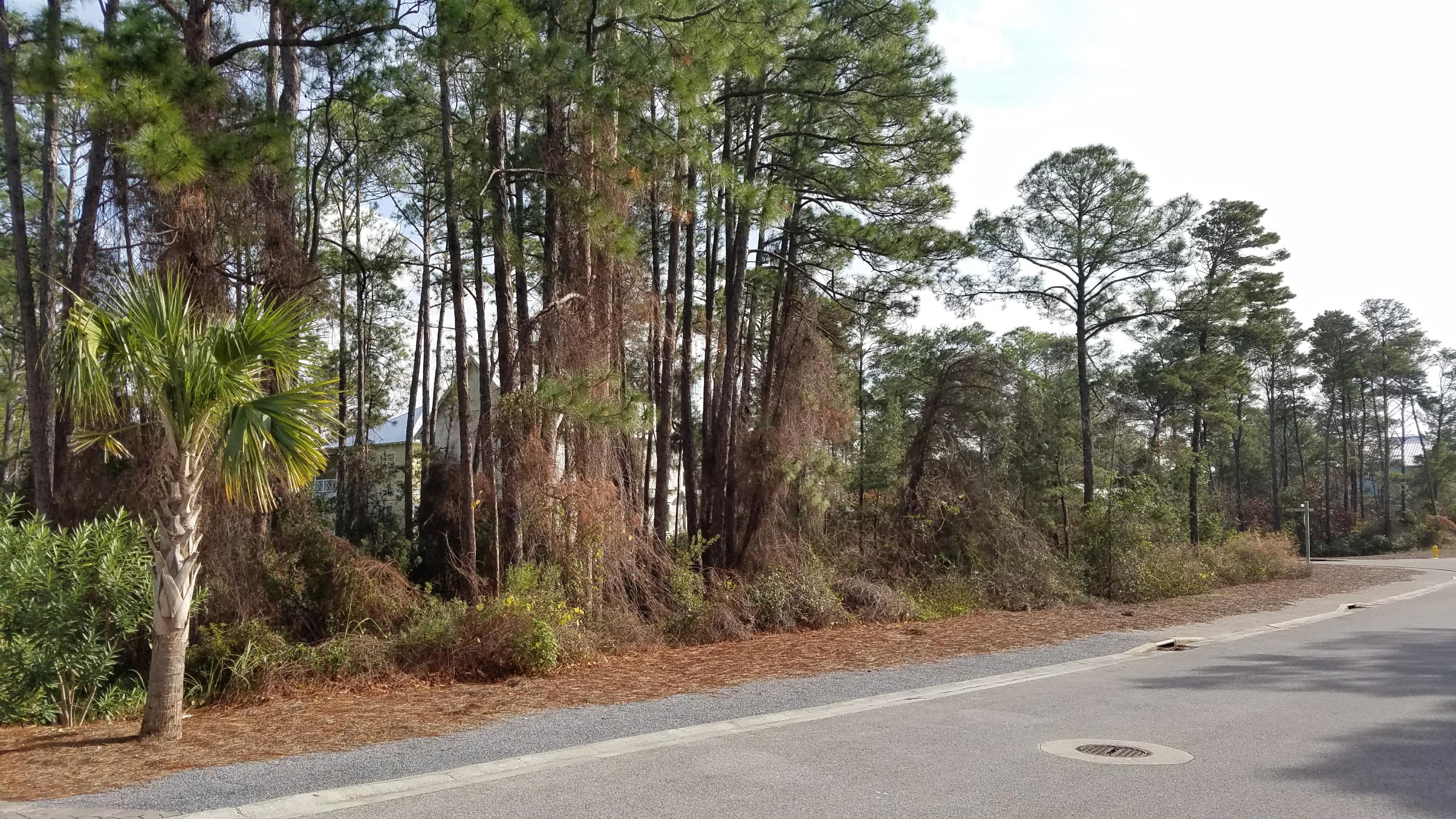 LAKESIDE AT BLUE MOUNTAIN BEACH - Land