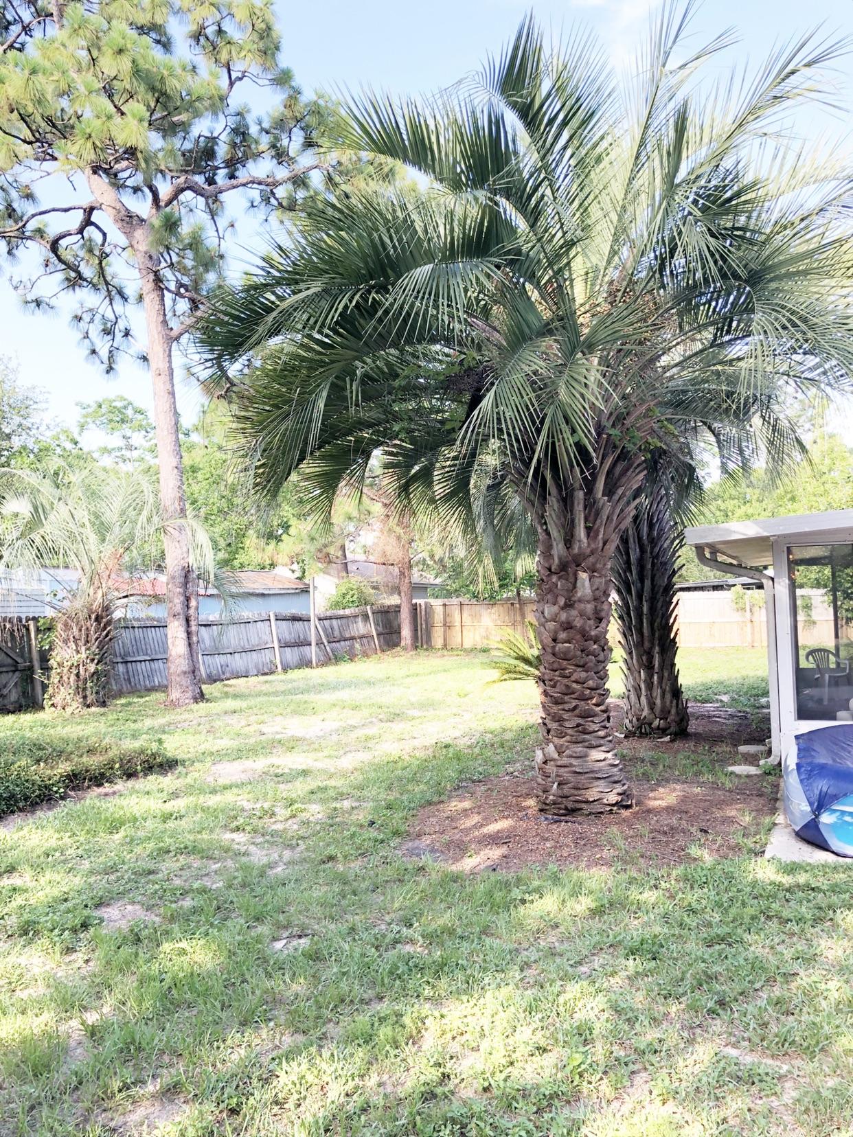 WYNNEHAVEN BEACH ESTATES 1ST ADDN - Residential