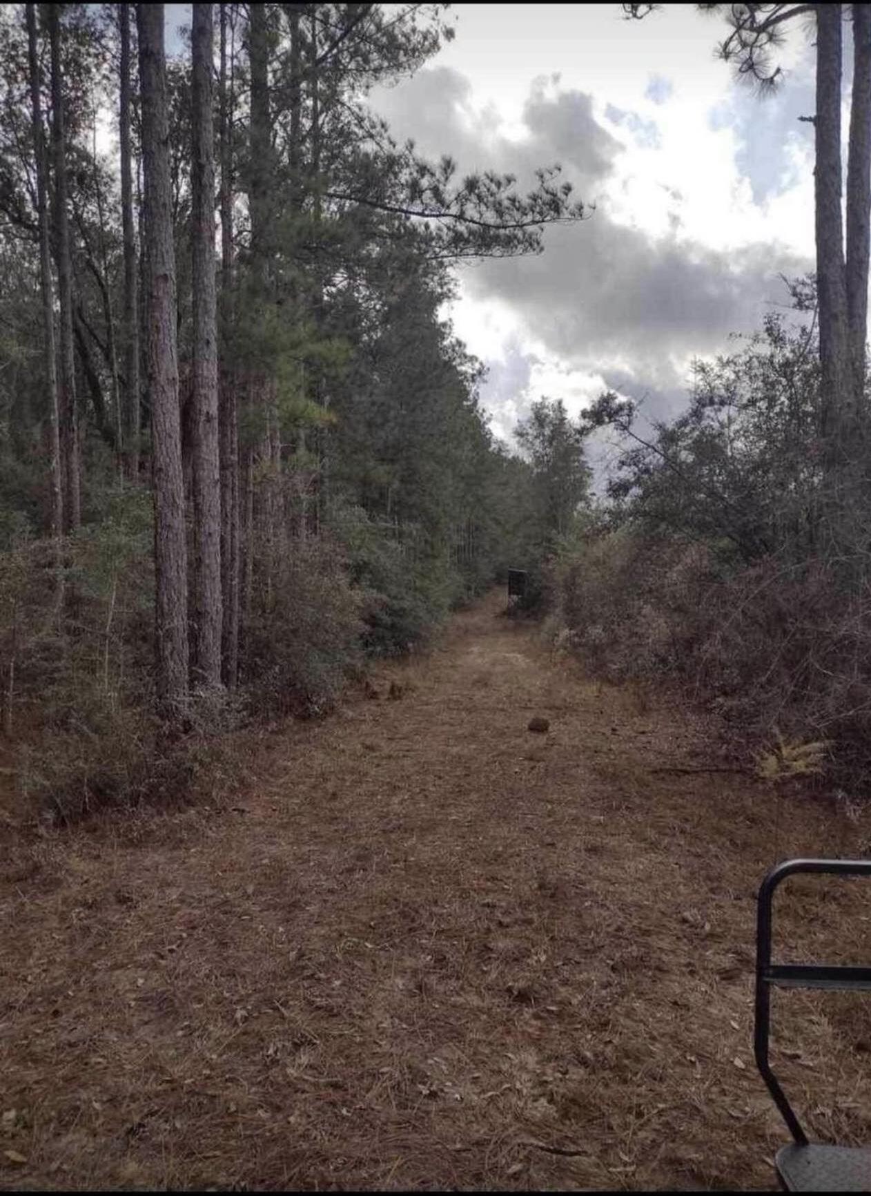 REEDY CREEK S/D - Land