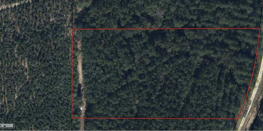 Discover the ultimate hunting retreat nestled on 5.12 acres of pristine wilderness. This property boasts two meticulously crafted shooting lanes, providing the perfect vantage points for your hunting adventures. With ample space to roam and explore, immerse yourself in the tranquility of nature. Whether you're seeking solace in the great outdoors or pursuing your passion for hunting, this parcel offers endless possibilities. No mobile homes.