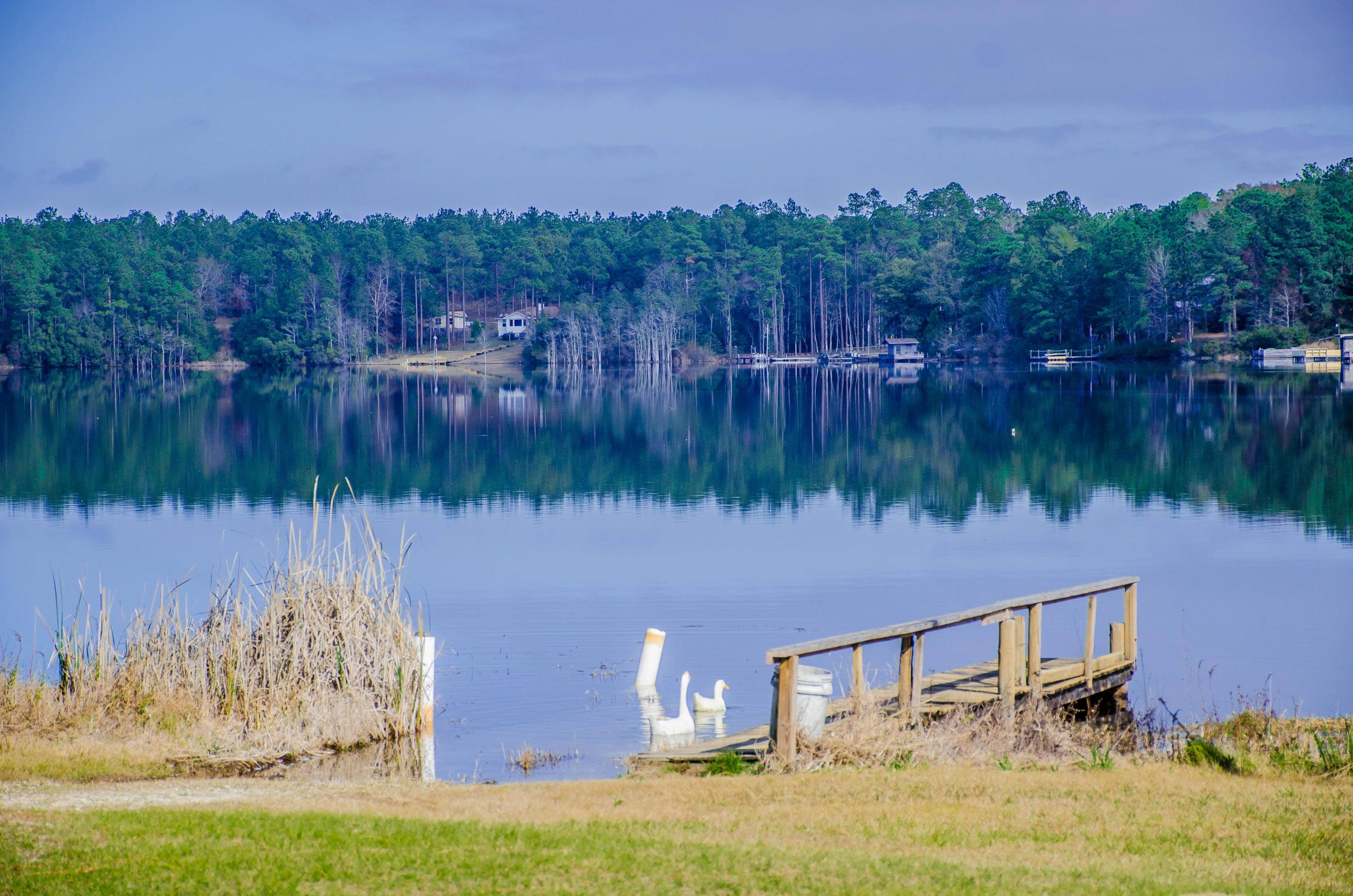 SPRINGLAKE - Residential