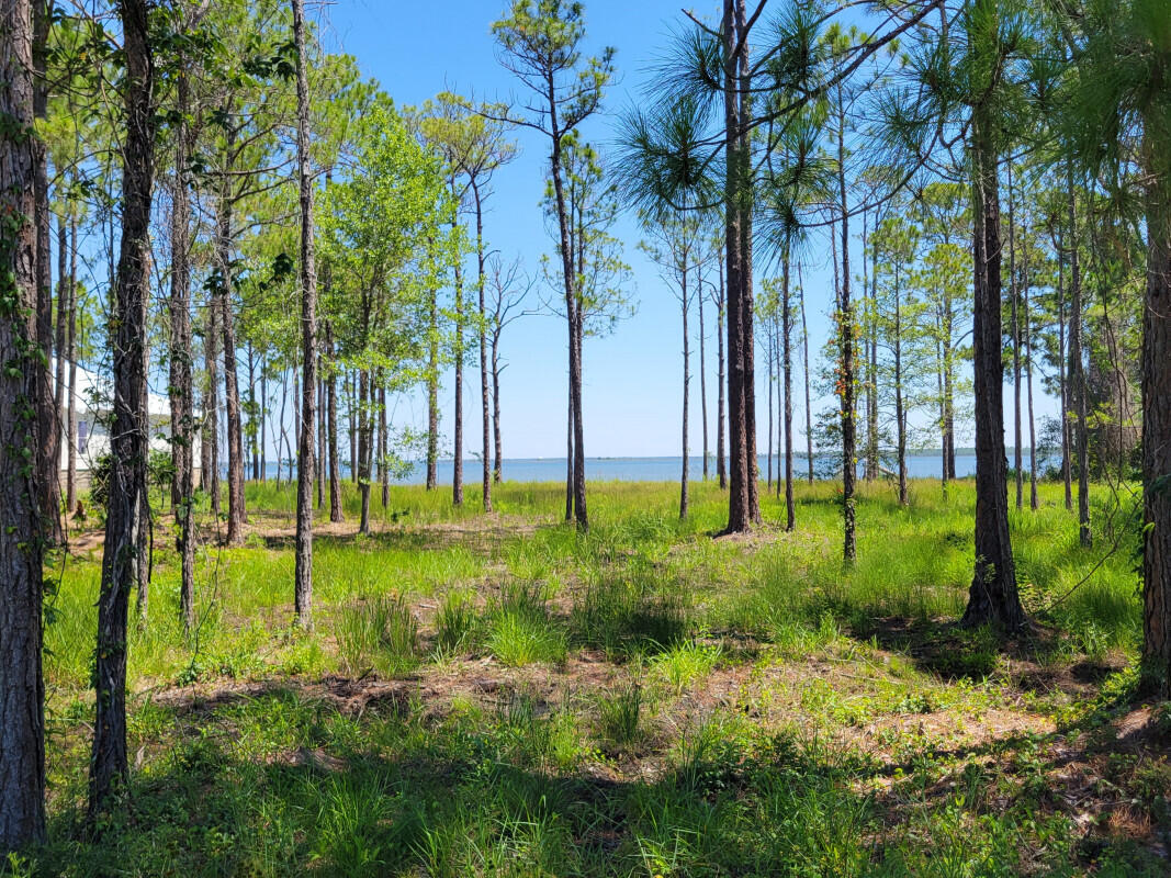 Woodland Bayou Estates - Land