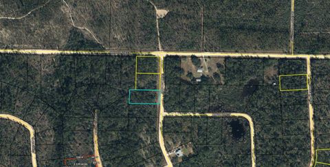 Photo of Lot 118 CINNAMON Drive, Marianna, FL 32448 (MLS # 987958)