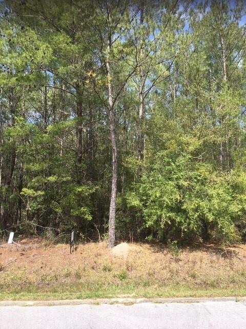 MAGNOLIA BAY - Residential