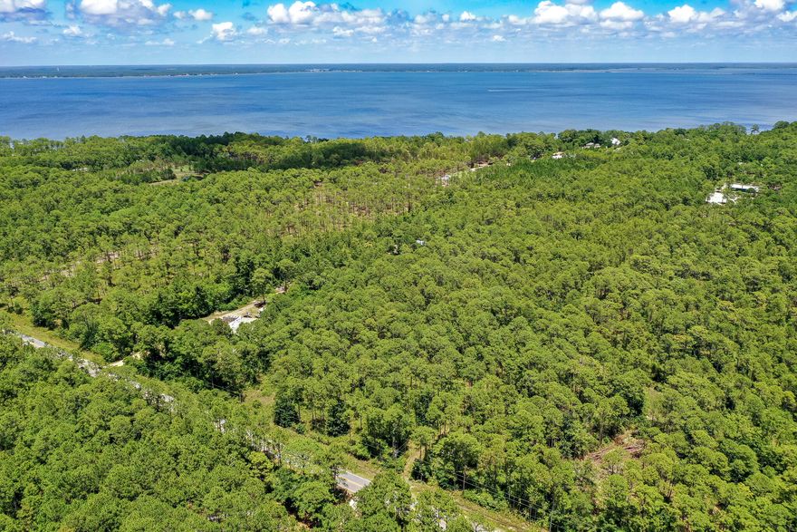 Developers and investors! This is a great opportunity to develop 9.75 acres with 330' frontage on CR 393 in Santa Rosa Beach. Buyer to confirm wetlands, zoning, lot dimensions, acreage and feasibility of any projects.