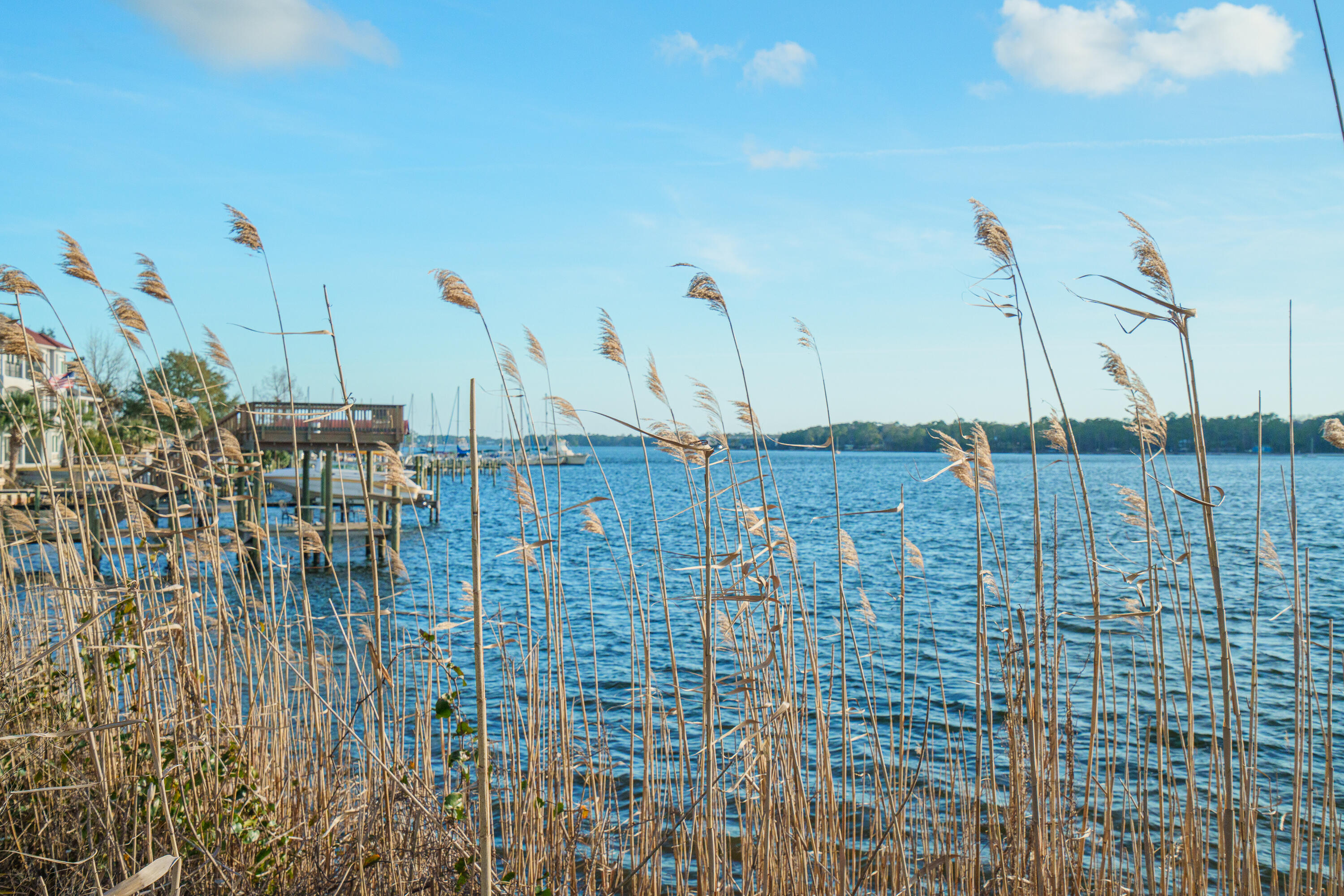 HELMS & ALLEN - Residential Lease