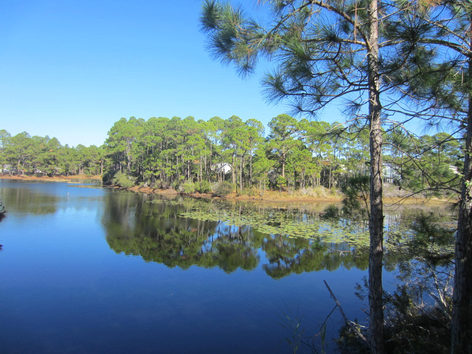 BEACHSIDE VILLAS CONDO - Residential