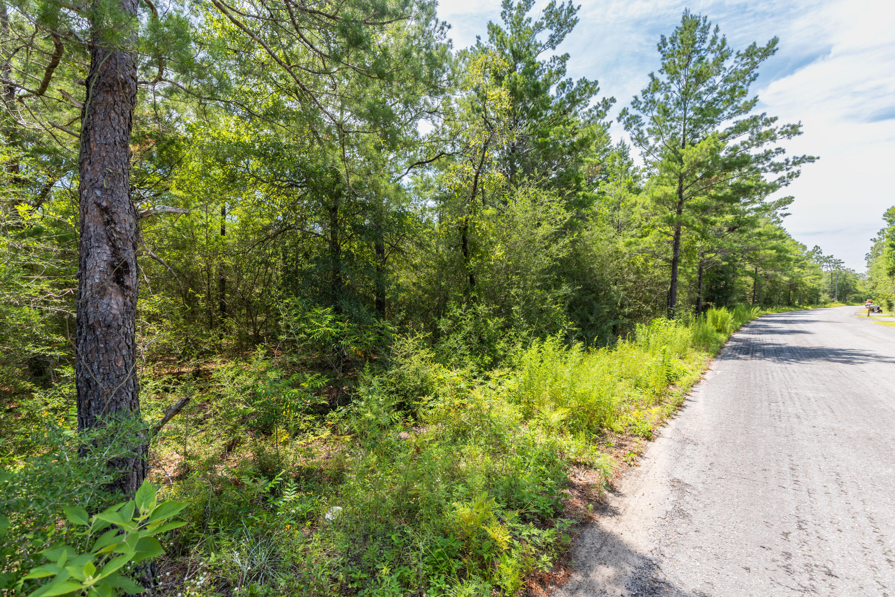 SOUTH ORANGE CREST - Land