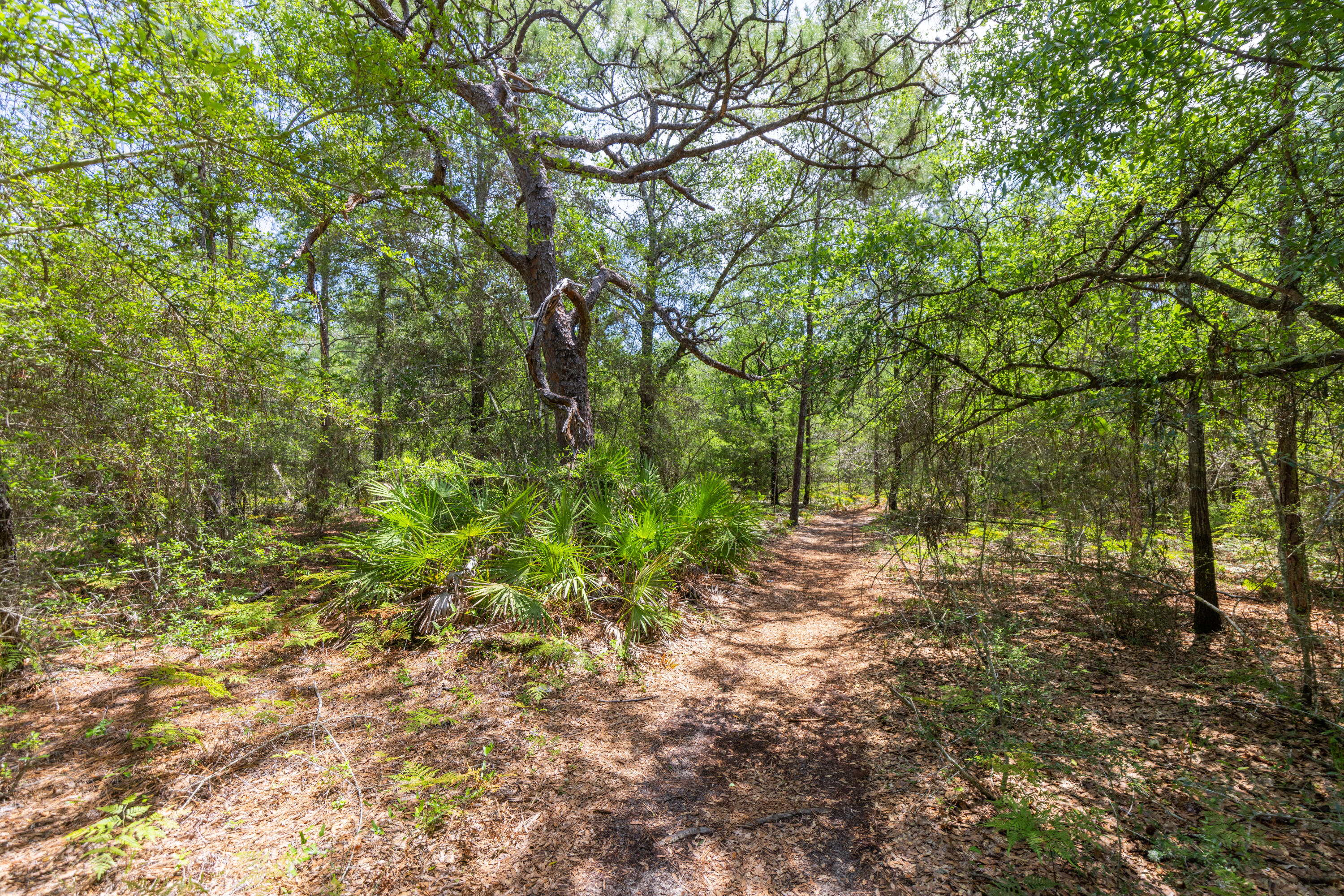 SOUTH ORANGE CREST - Land