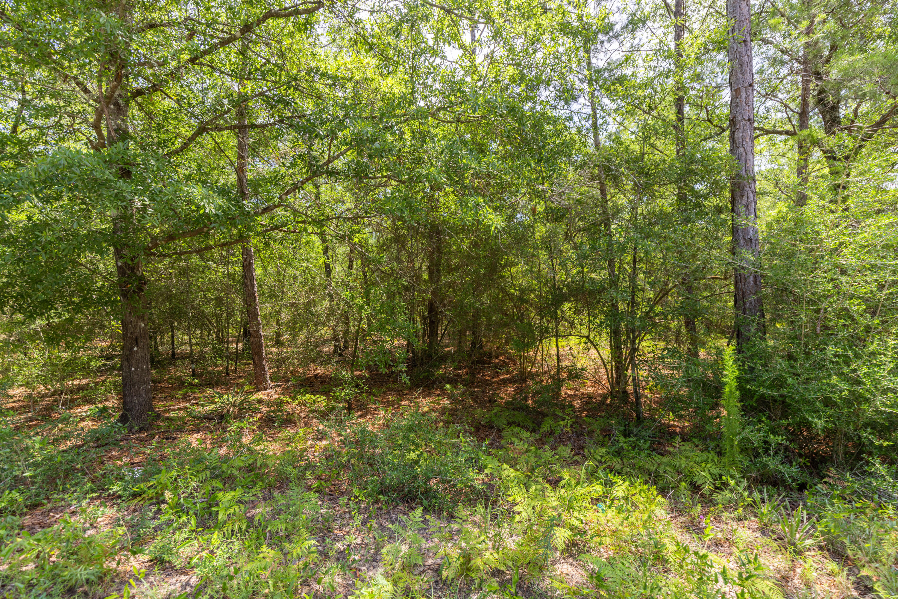 SOUTH ORANGE CREST - Land