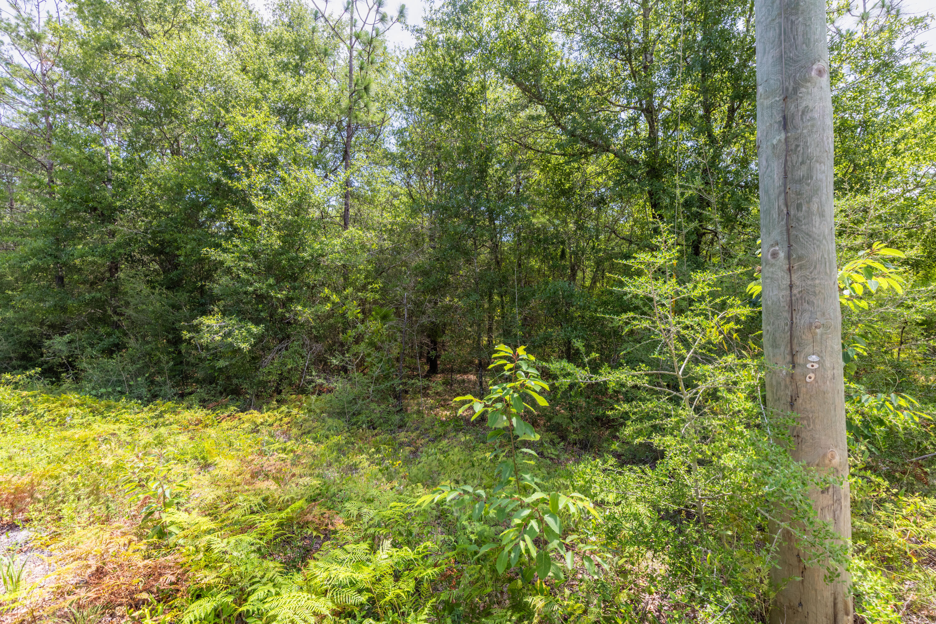 SOUTH ORANGE CREST - Land