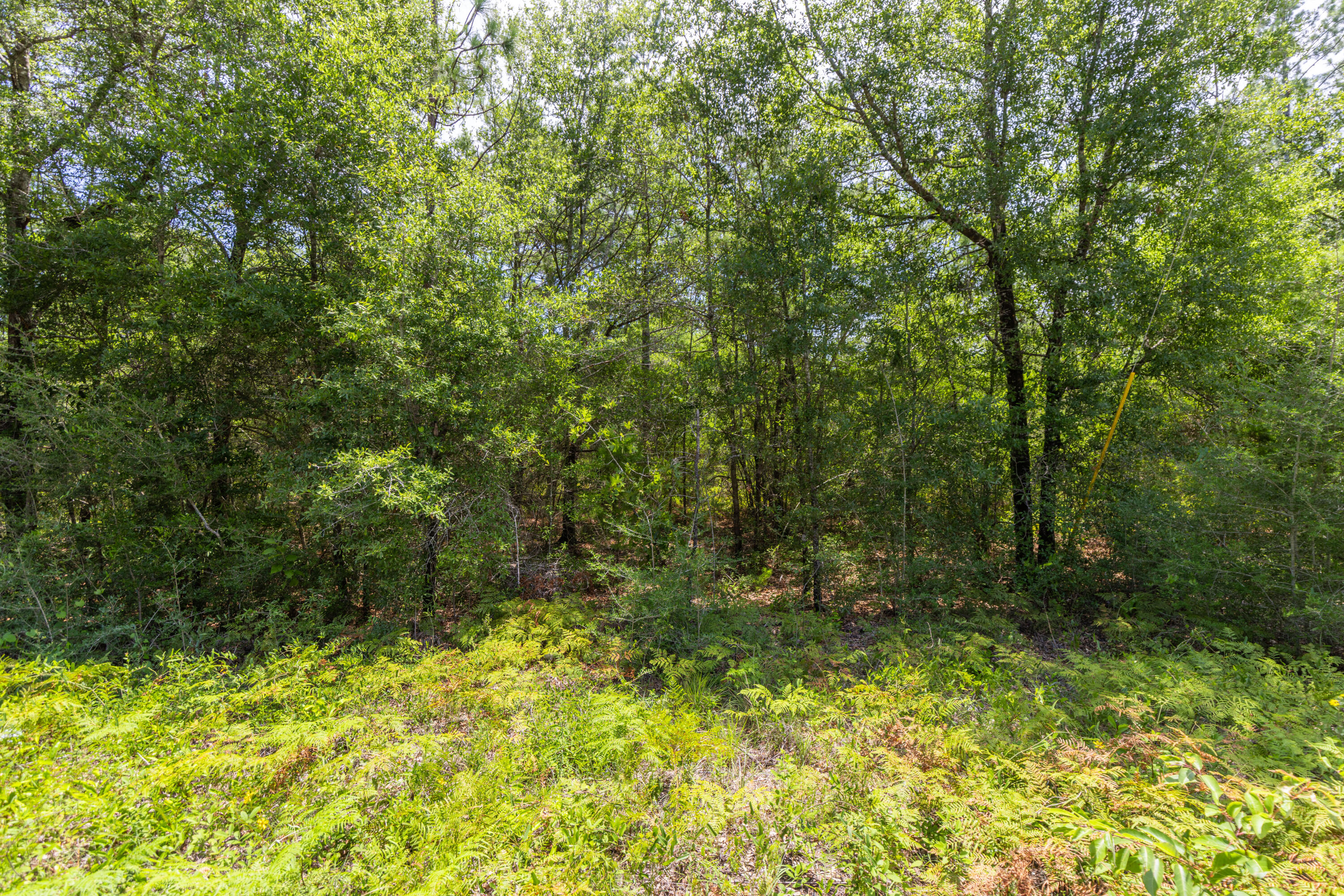 SOUTH ORANGE CREST - Land