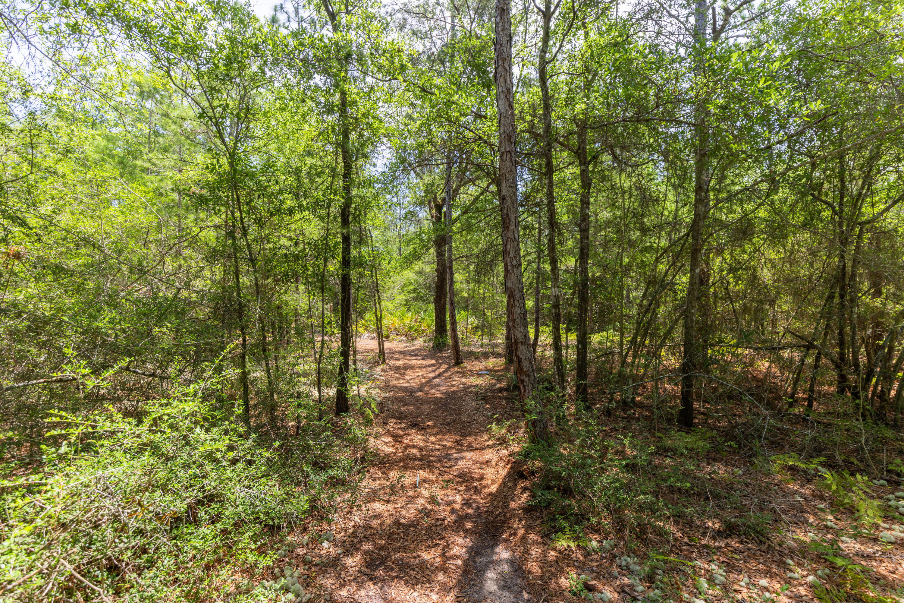 SOUTH ORANGE CREST - Land