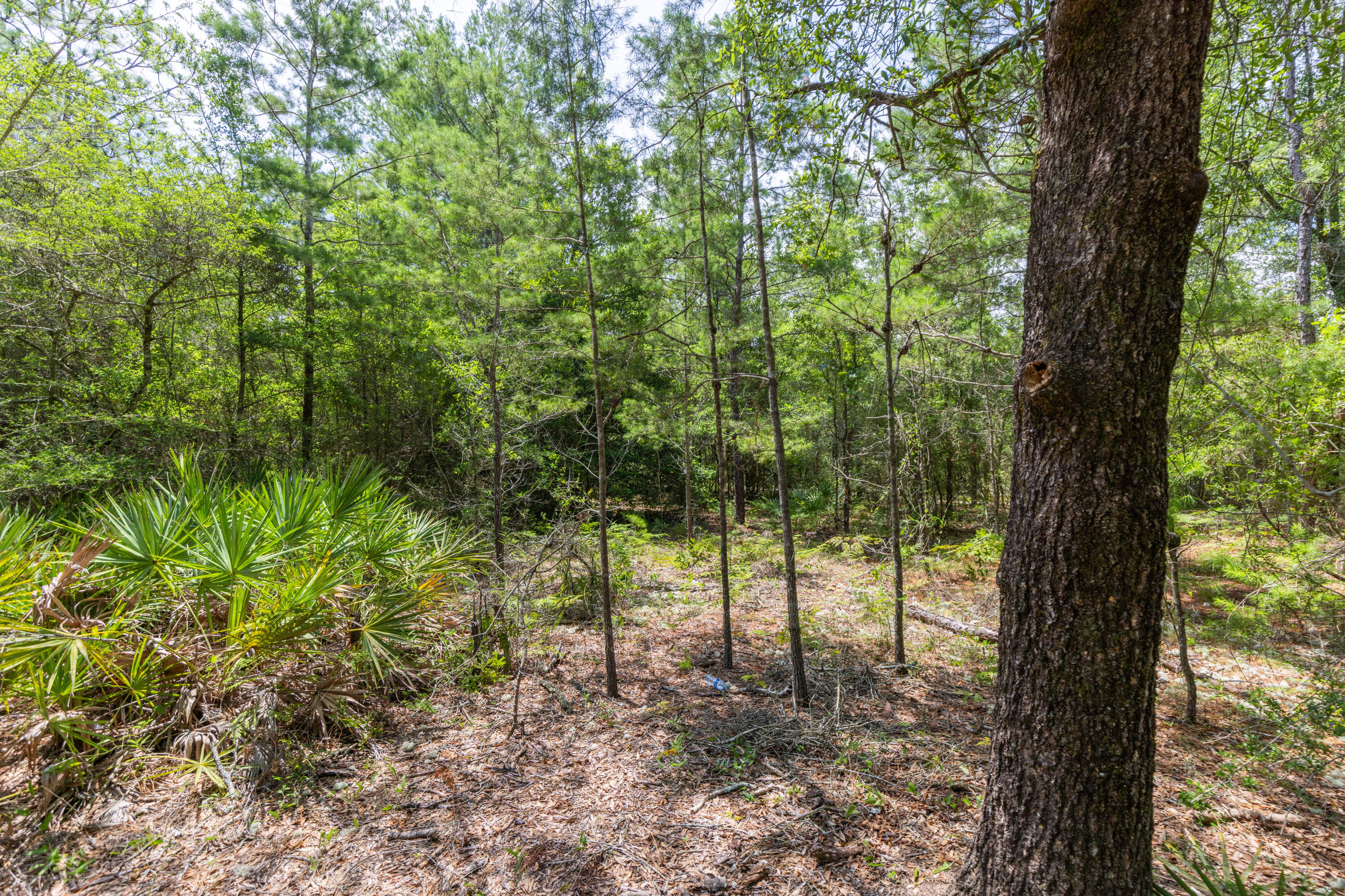 SOUTH ORANGE CREST - Land