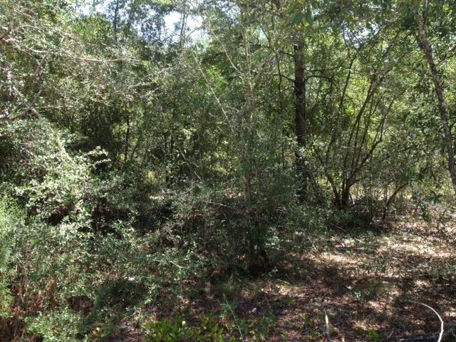 OAKWOOD LAKES ESTATES UNIT 7 - Land