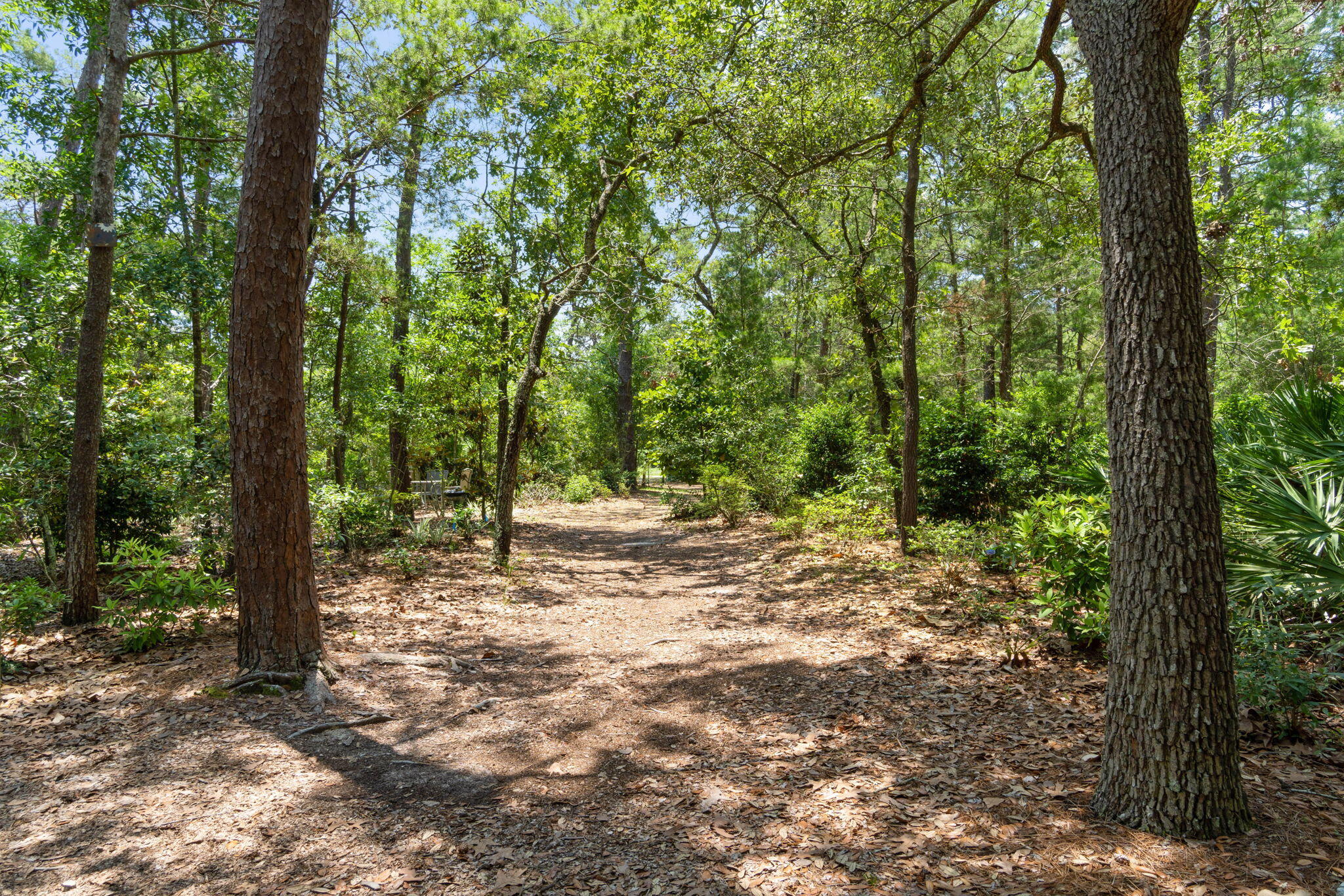 RAINTREE ESTATES - Residential