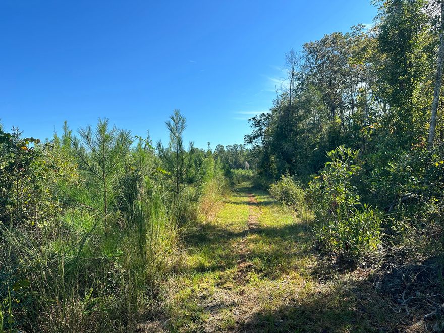 10 AC +/- Parcel D on Millside Road in Northwest Florida offering space for building plans, rural living, or a recreational retreat. The land features a mix of hardwoods and planted pines with visible wildlife activity throughout the property. Deer tracks can be found across the parcel, and the landscape provides a natural setting suited for horses, hobby farming, or a private homesite. Bring barndominium plans or traditional construction ideas and shape the property to fit your vision. Natural water movement is present, adding to the character of the land, and the night sky remains bright with visible stars in this part of the county. Millside Road is currently part of a county paving plan.